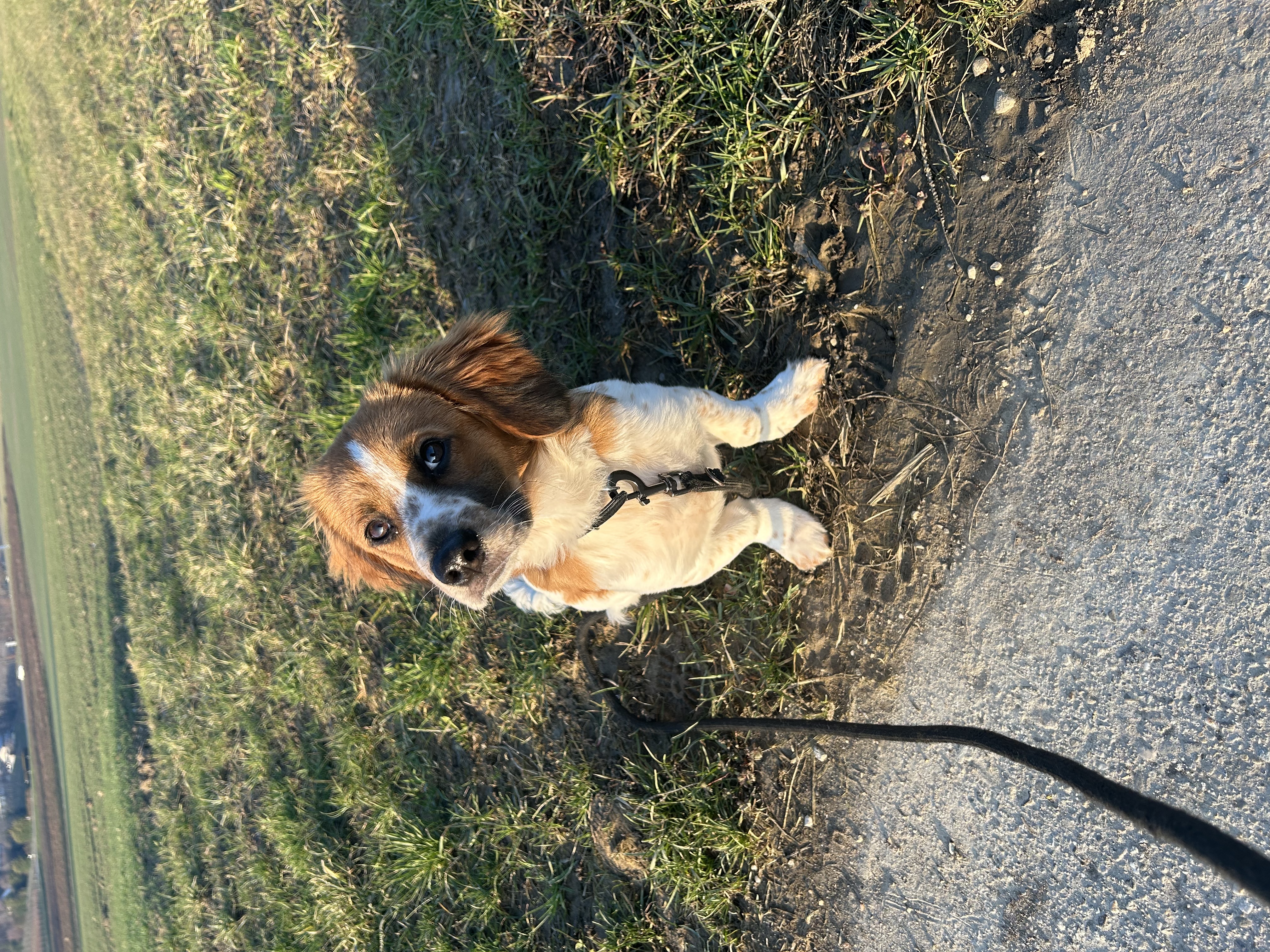 image-9