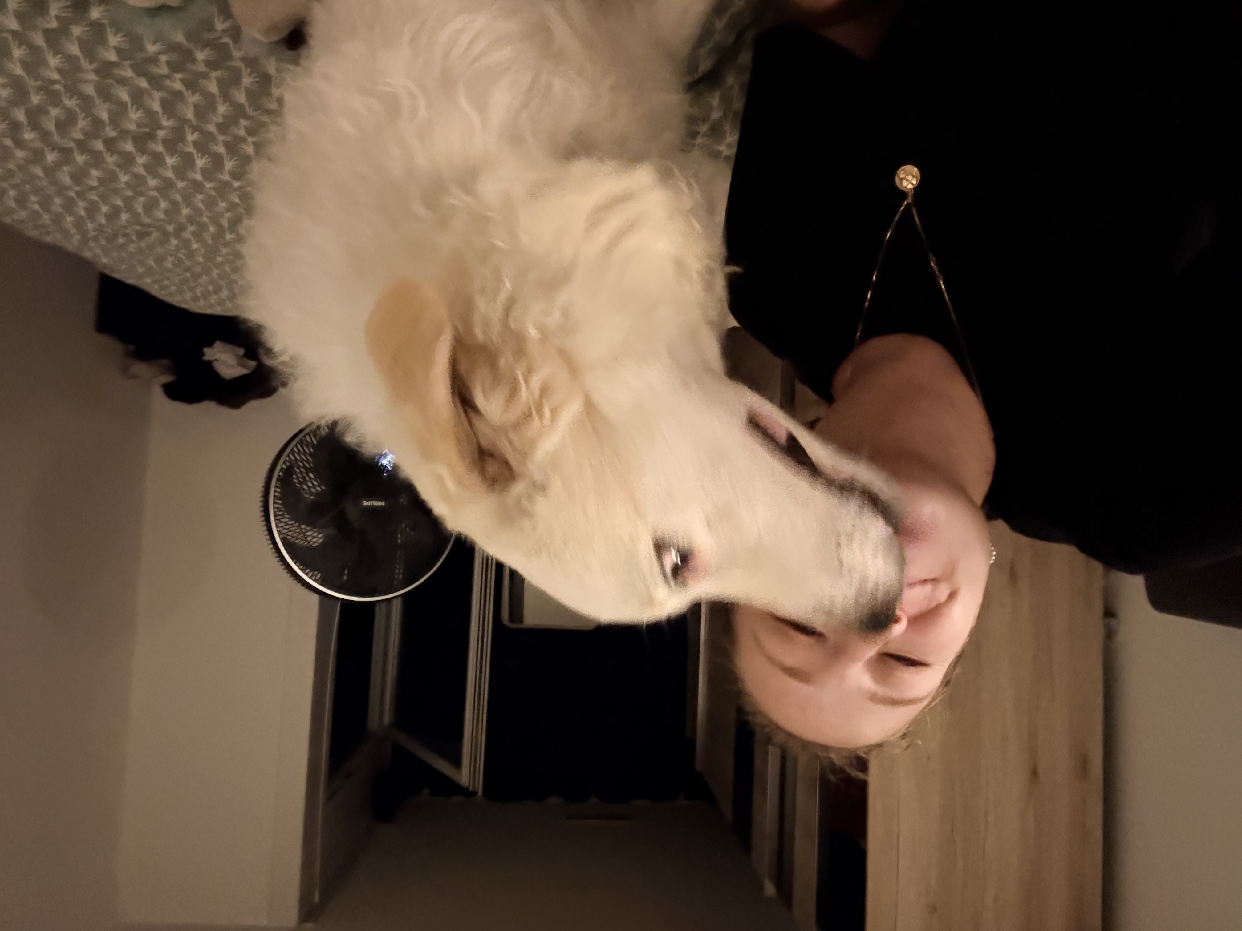 image-6