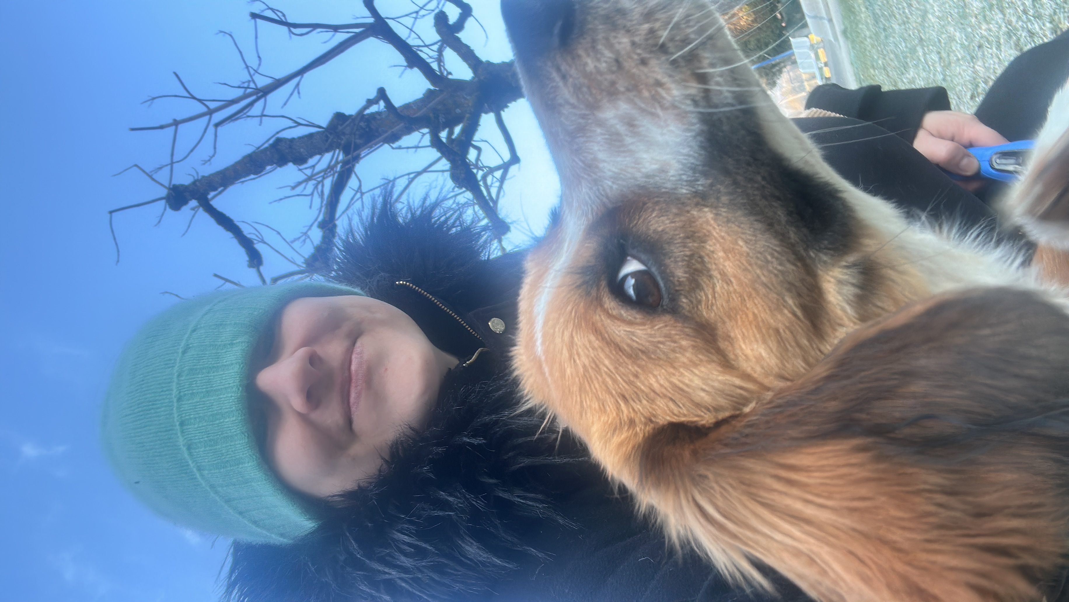 image-8