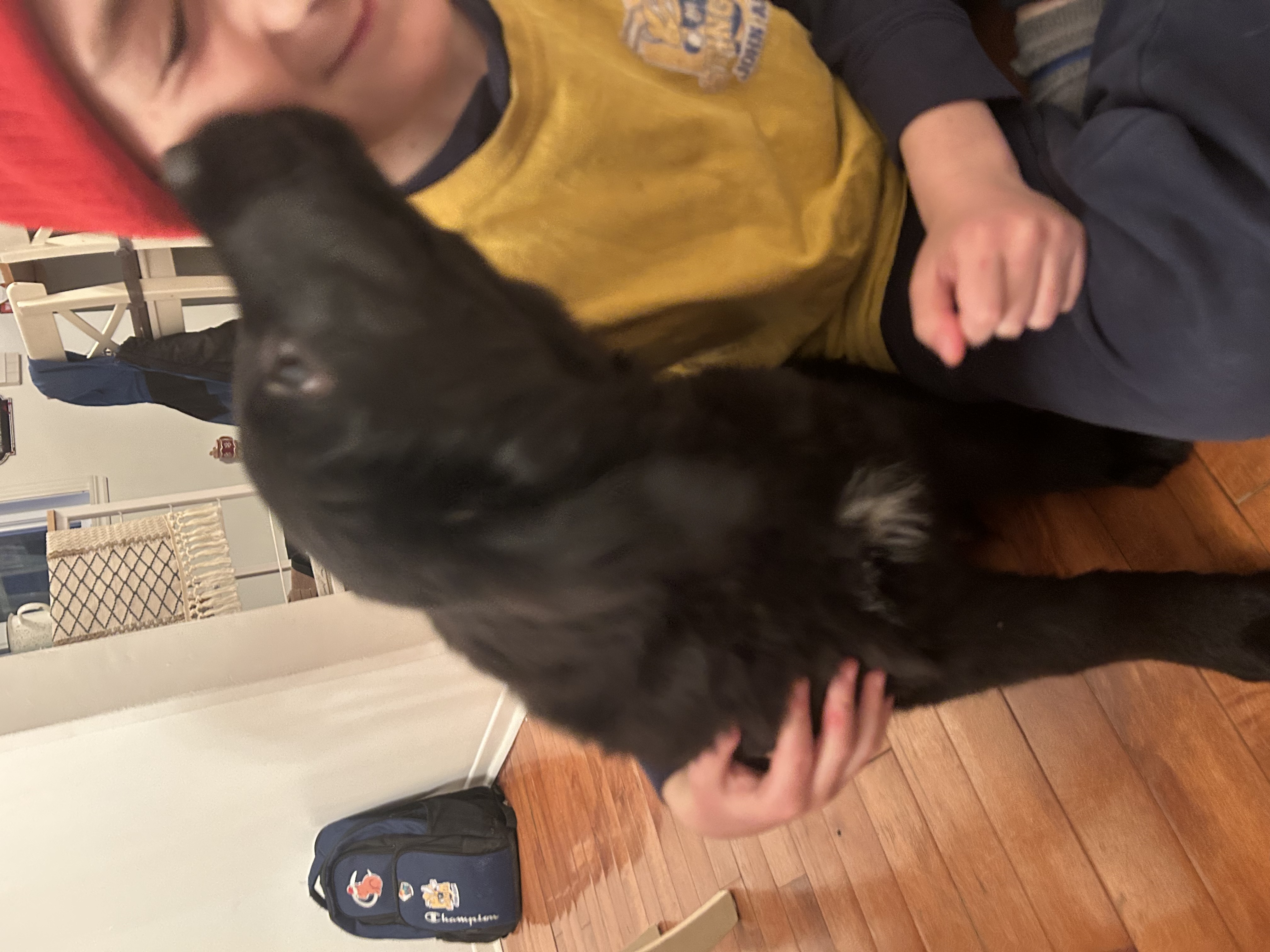 image-7