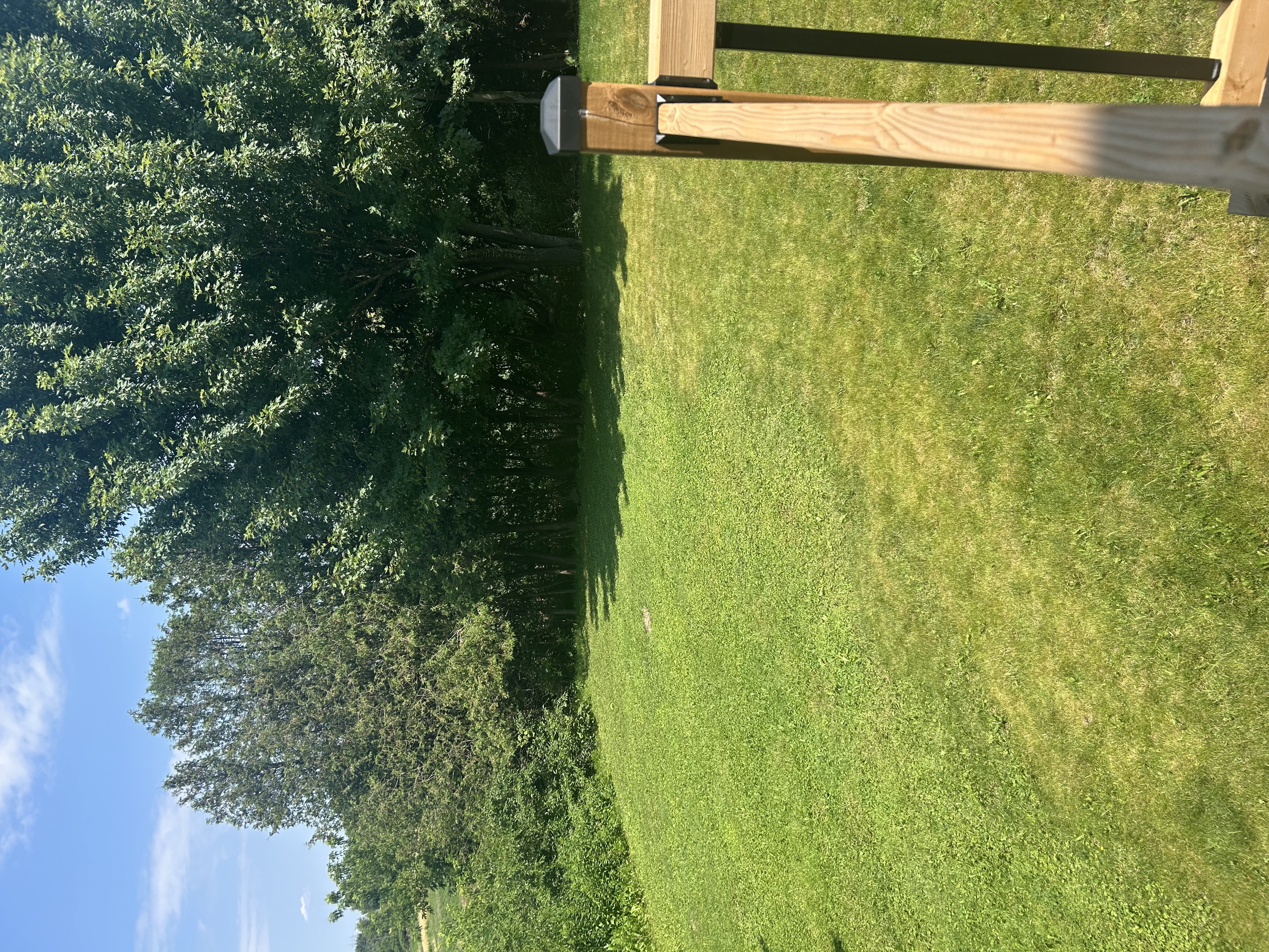 image-19