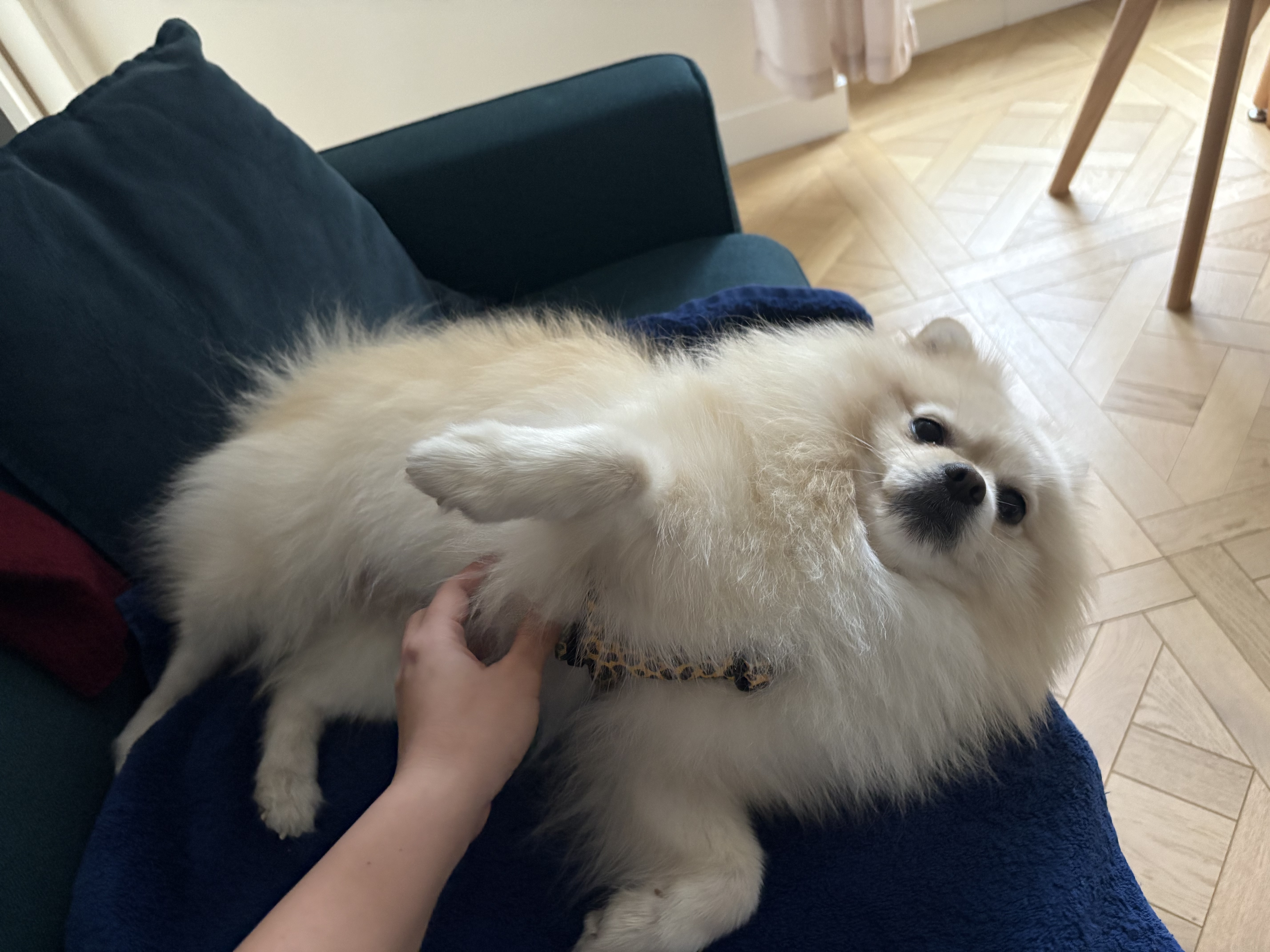 image-7