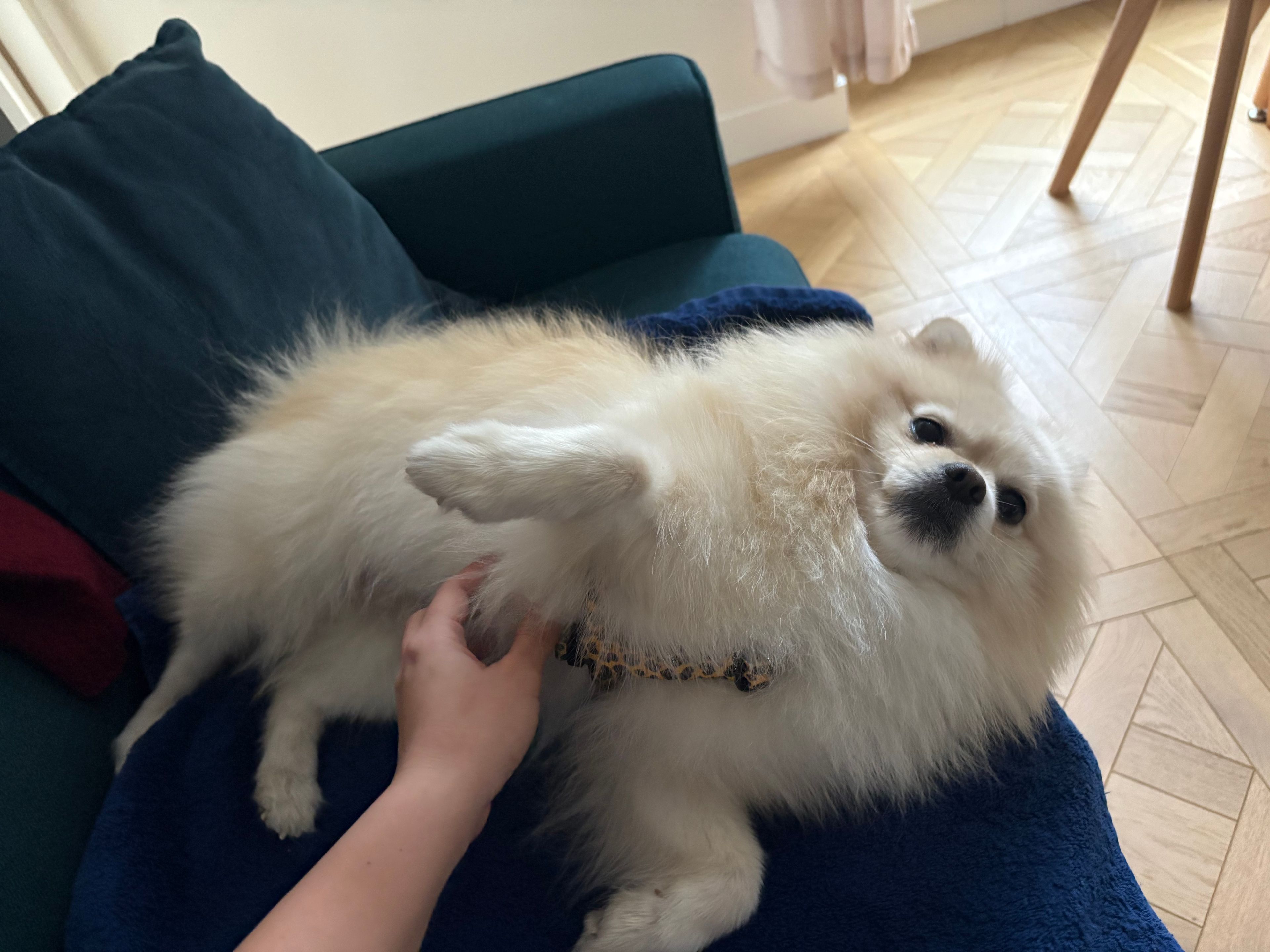 image-7