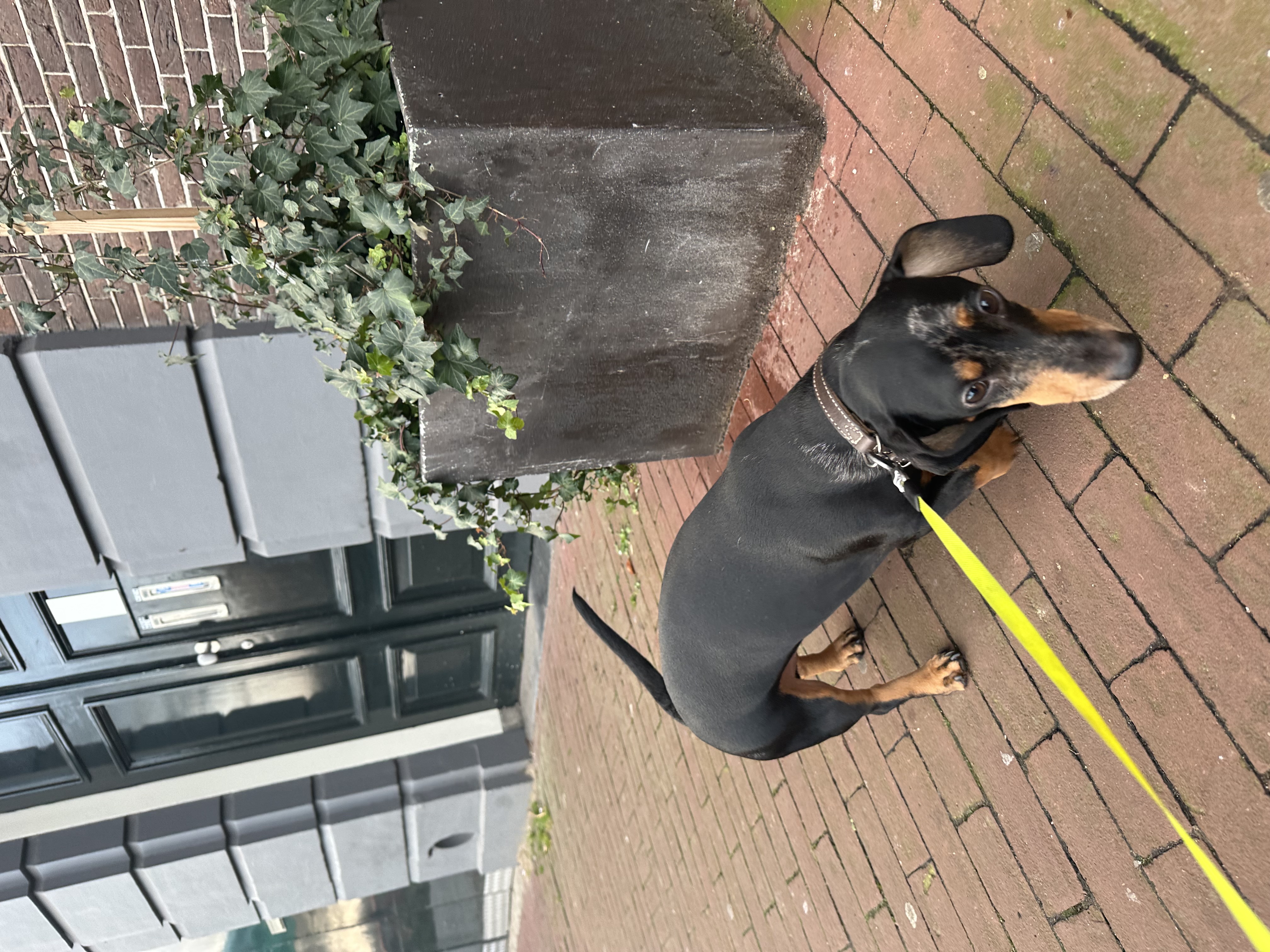 image-7