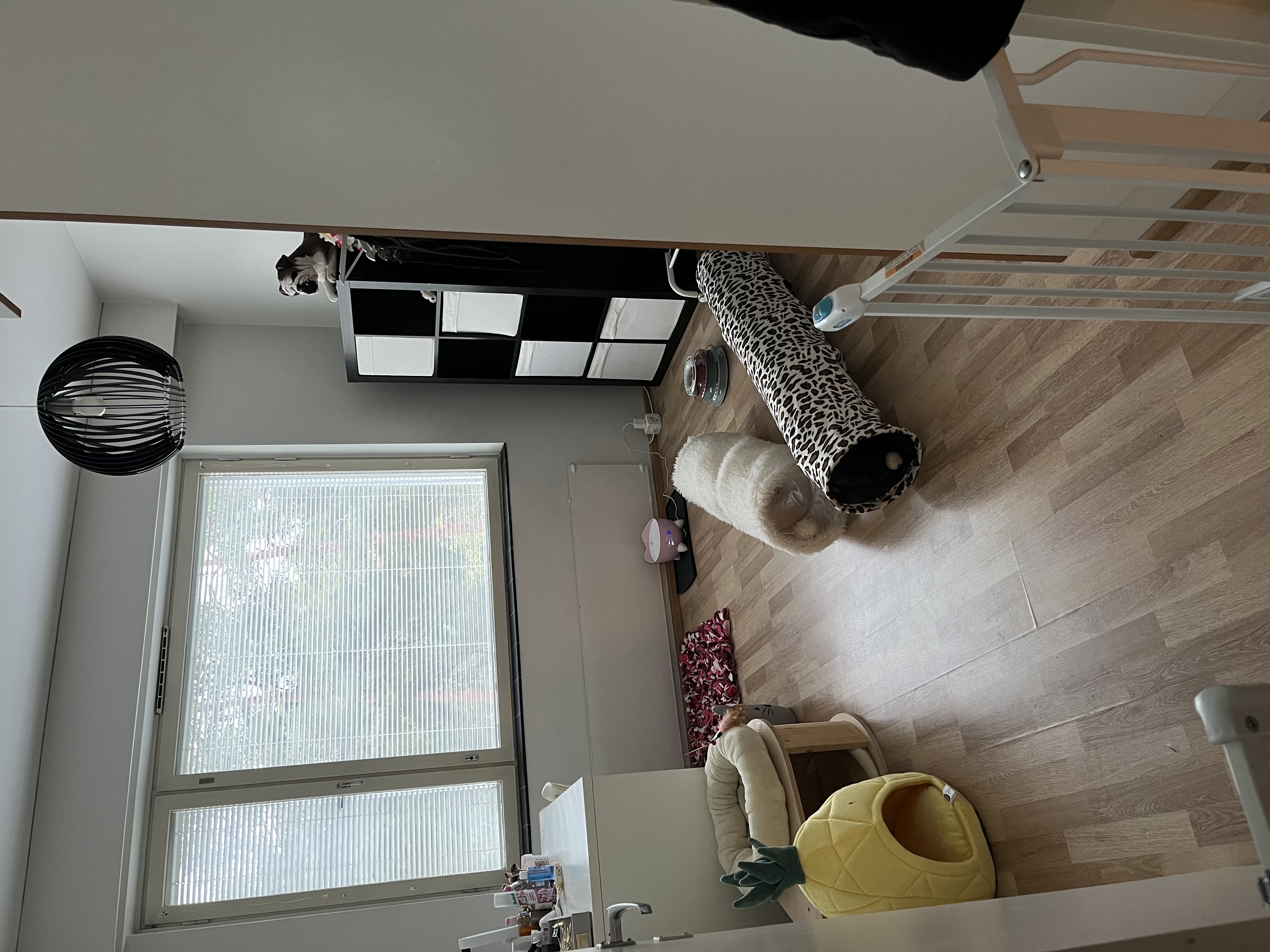 image-16