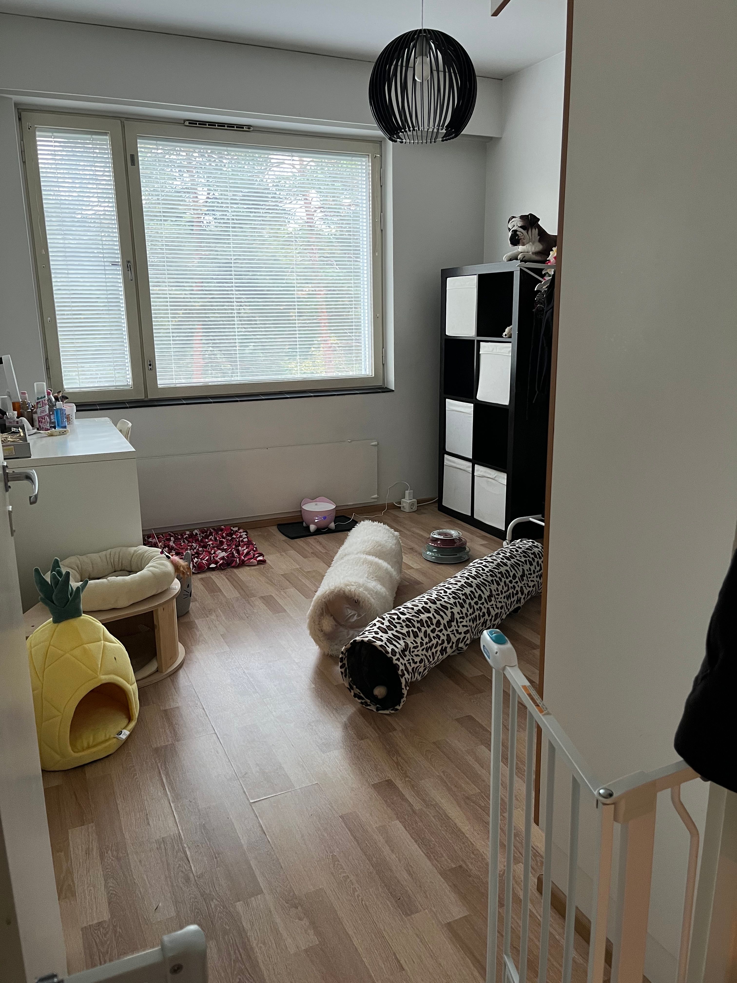 image-16