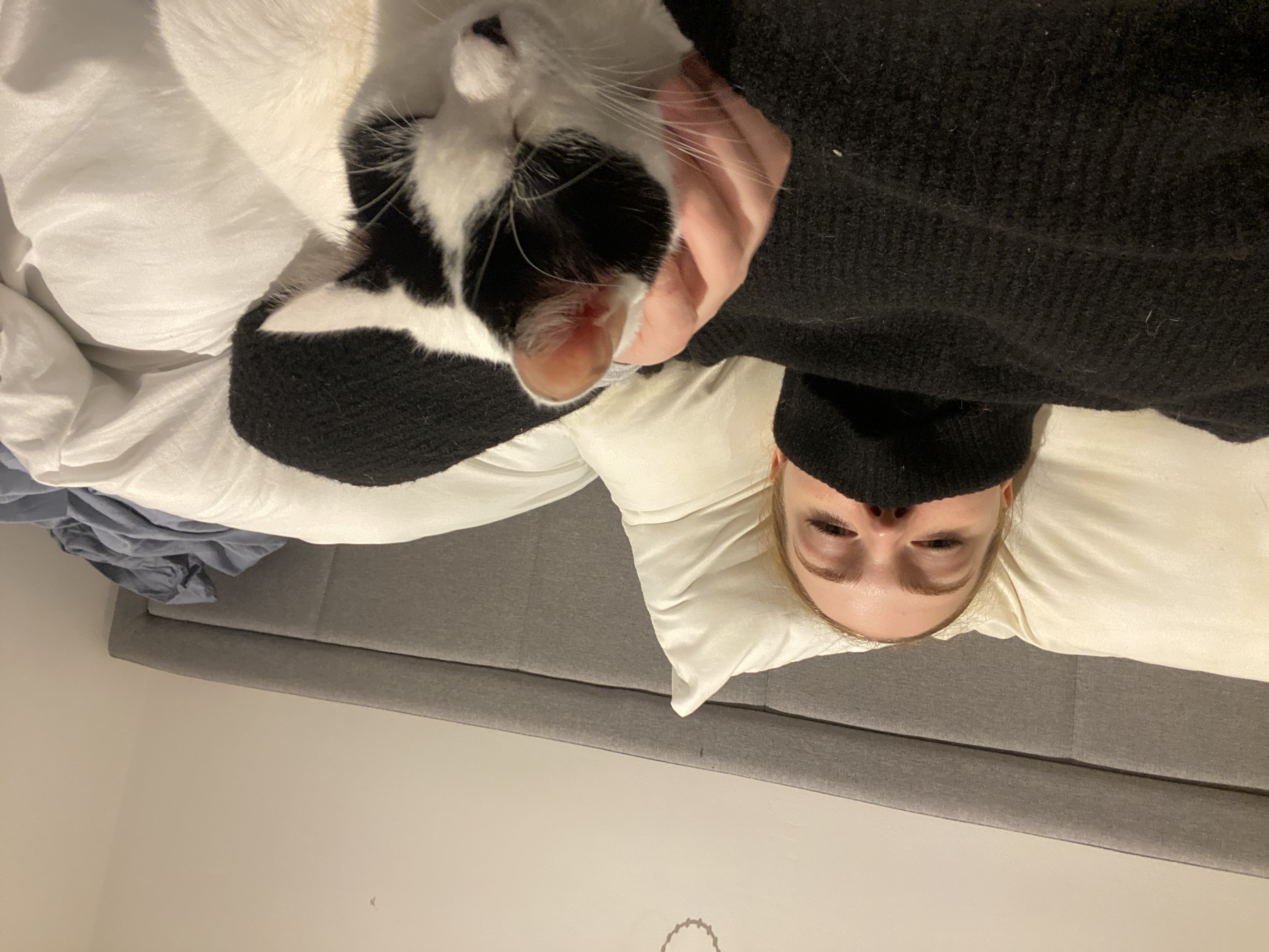 image-5