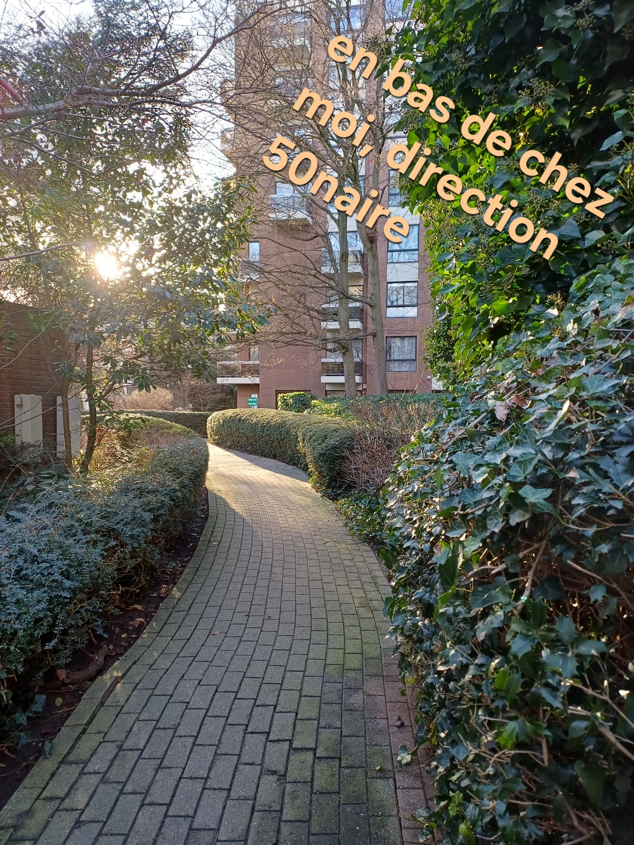 image-21