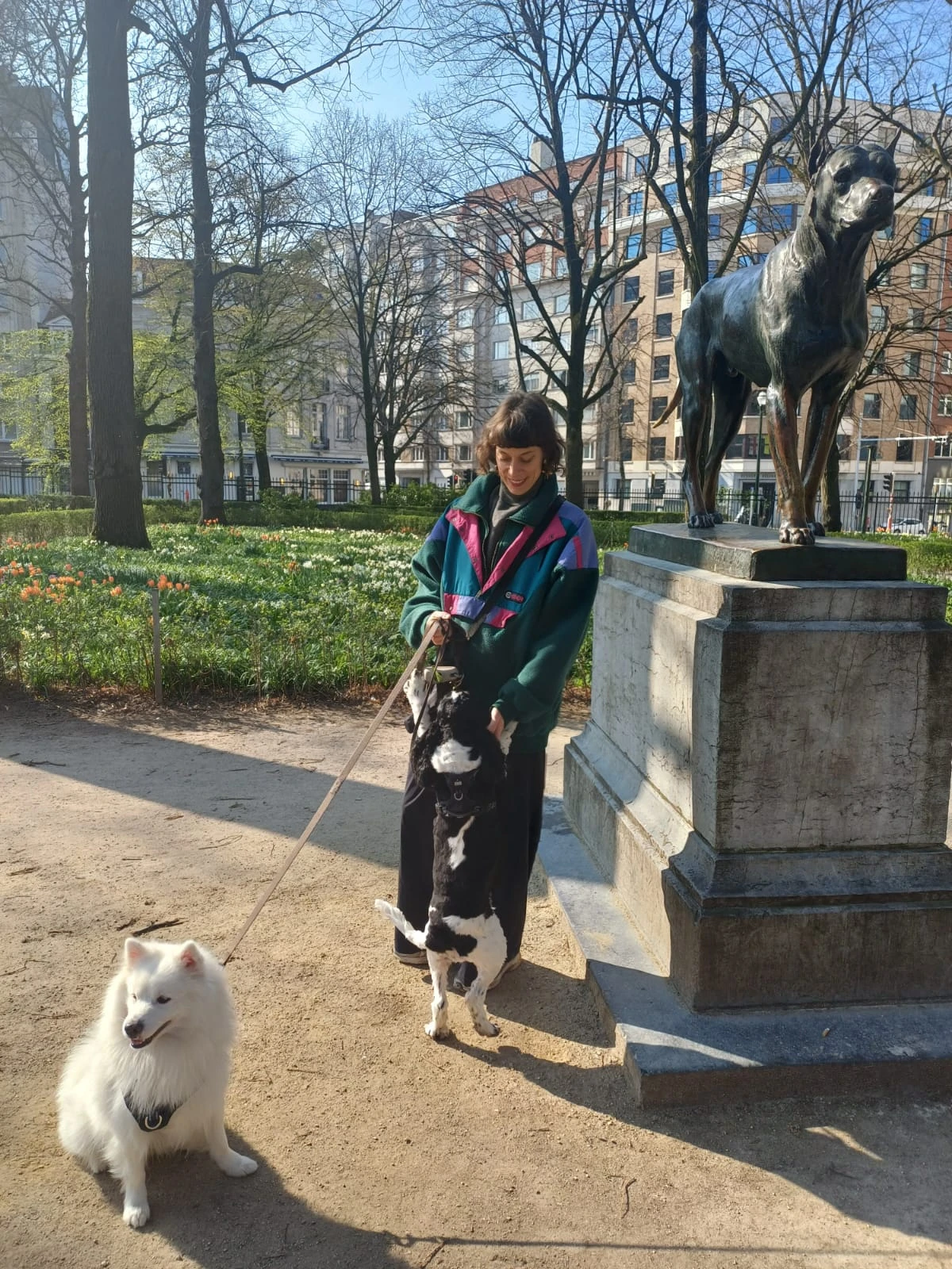image-19