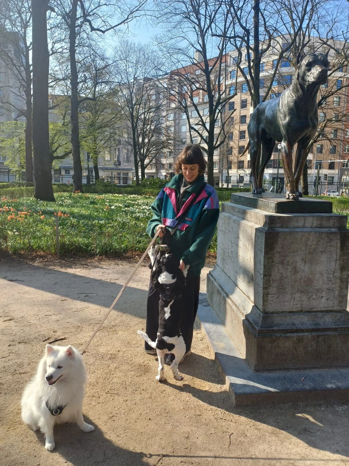 image-19