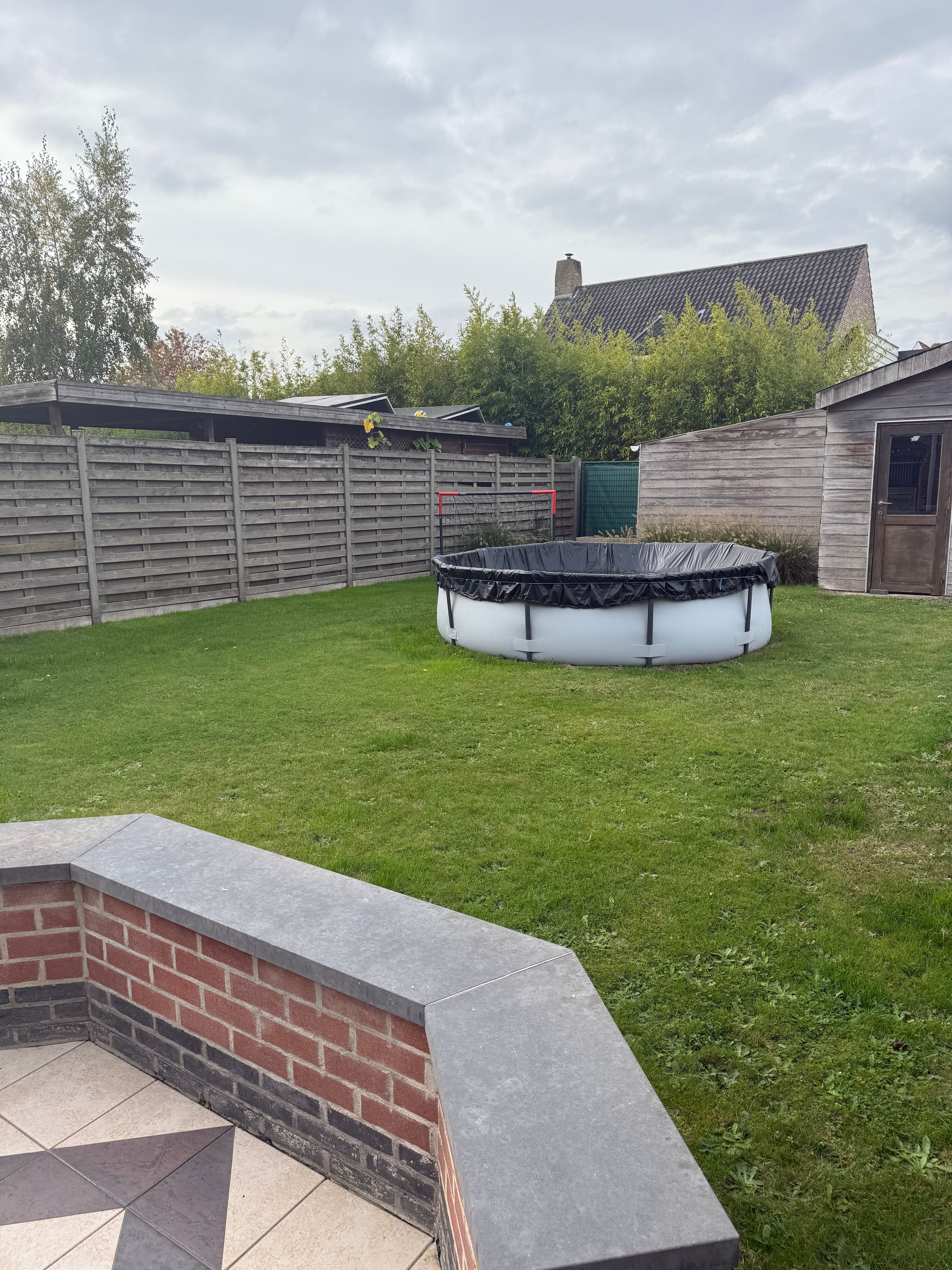 image-20