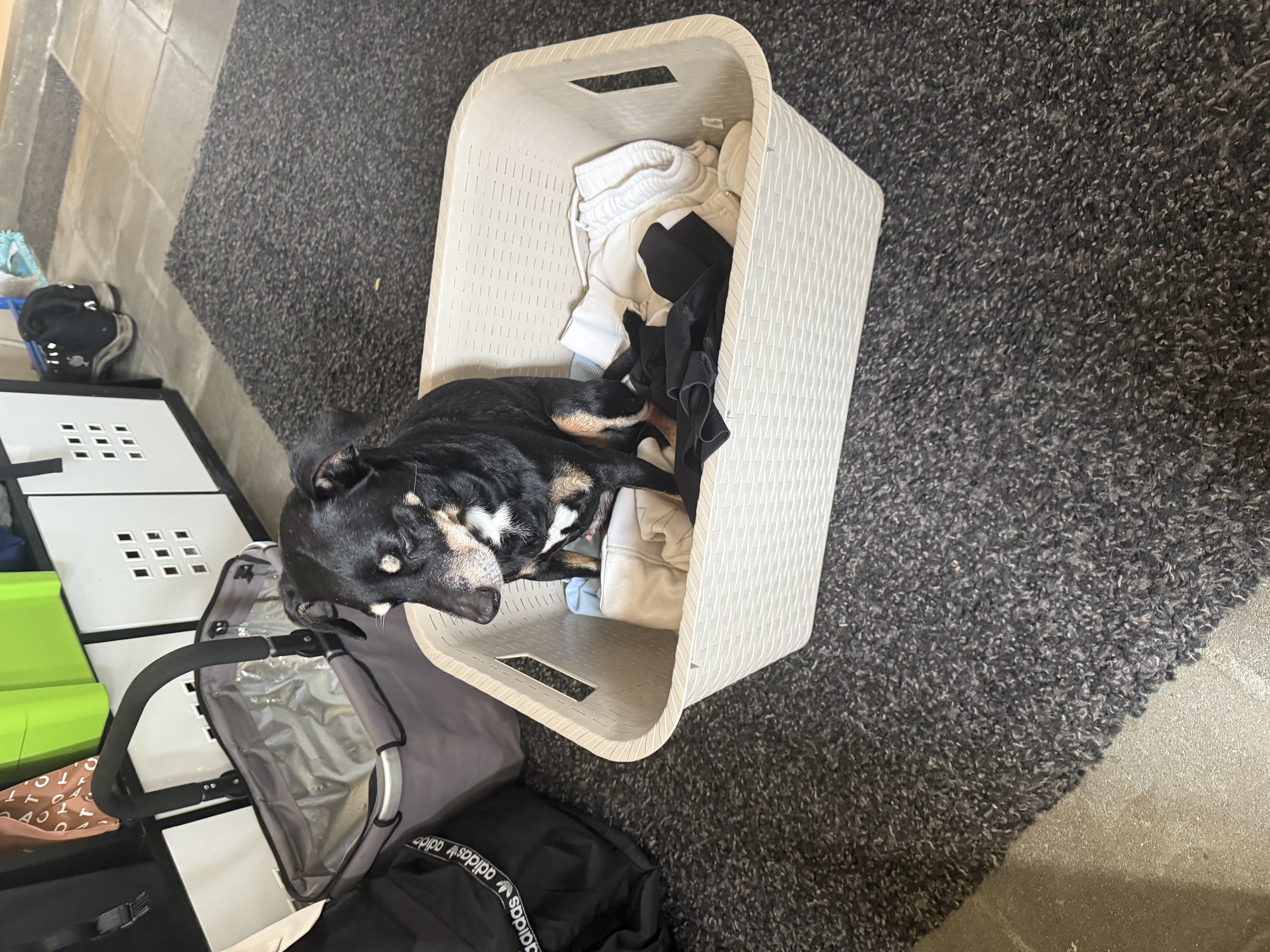 image-10