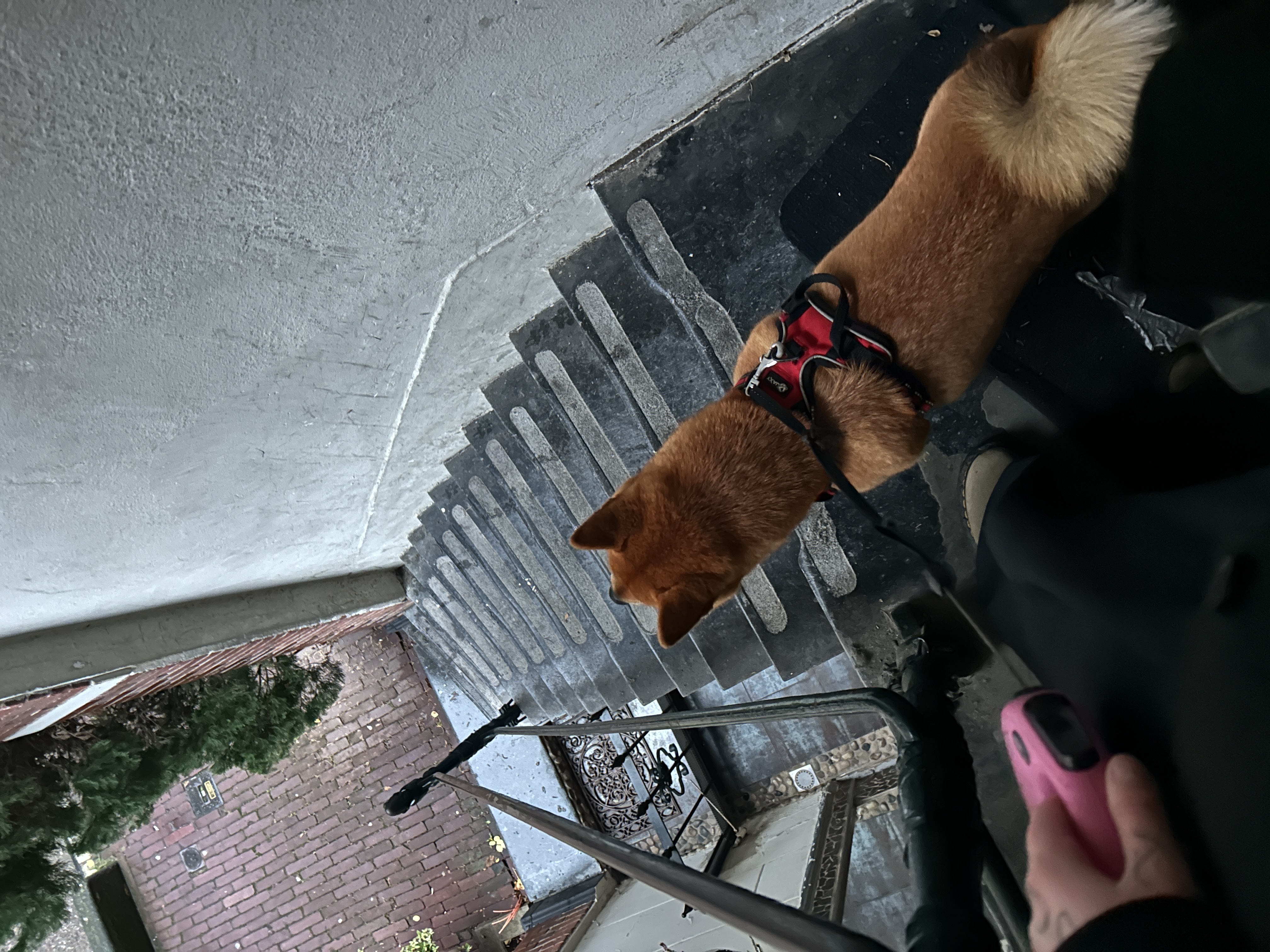 image-9
