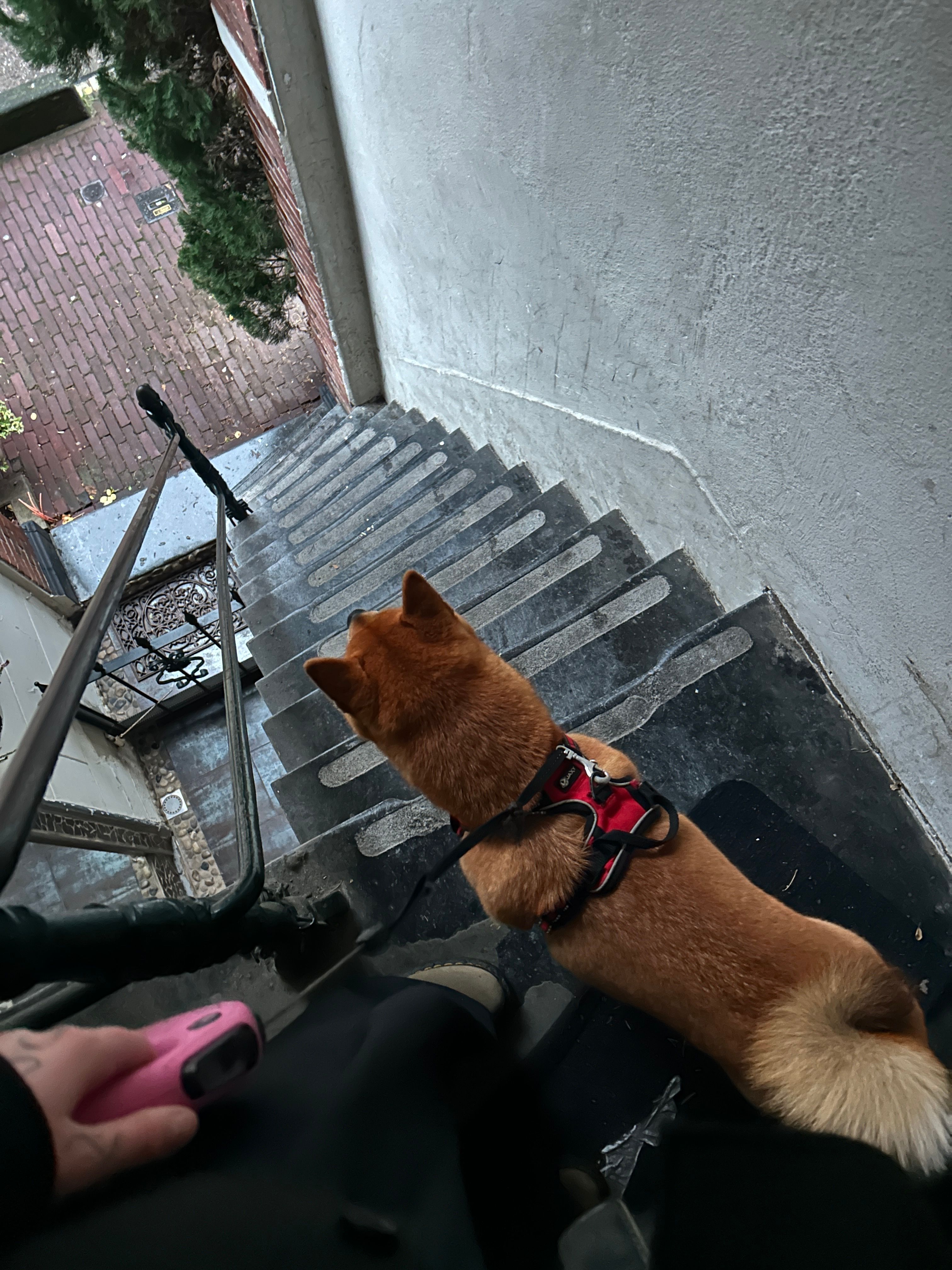 image-9