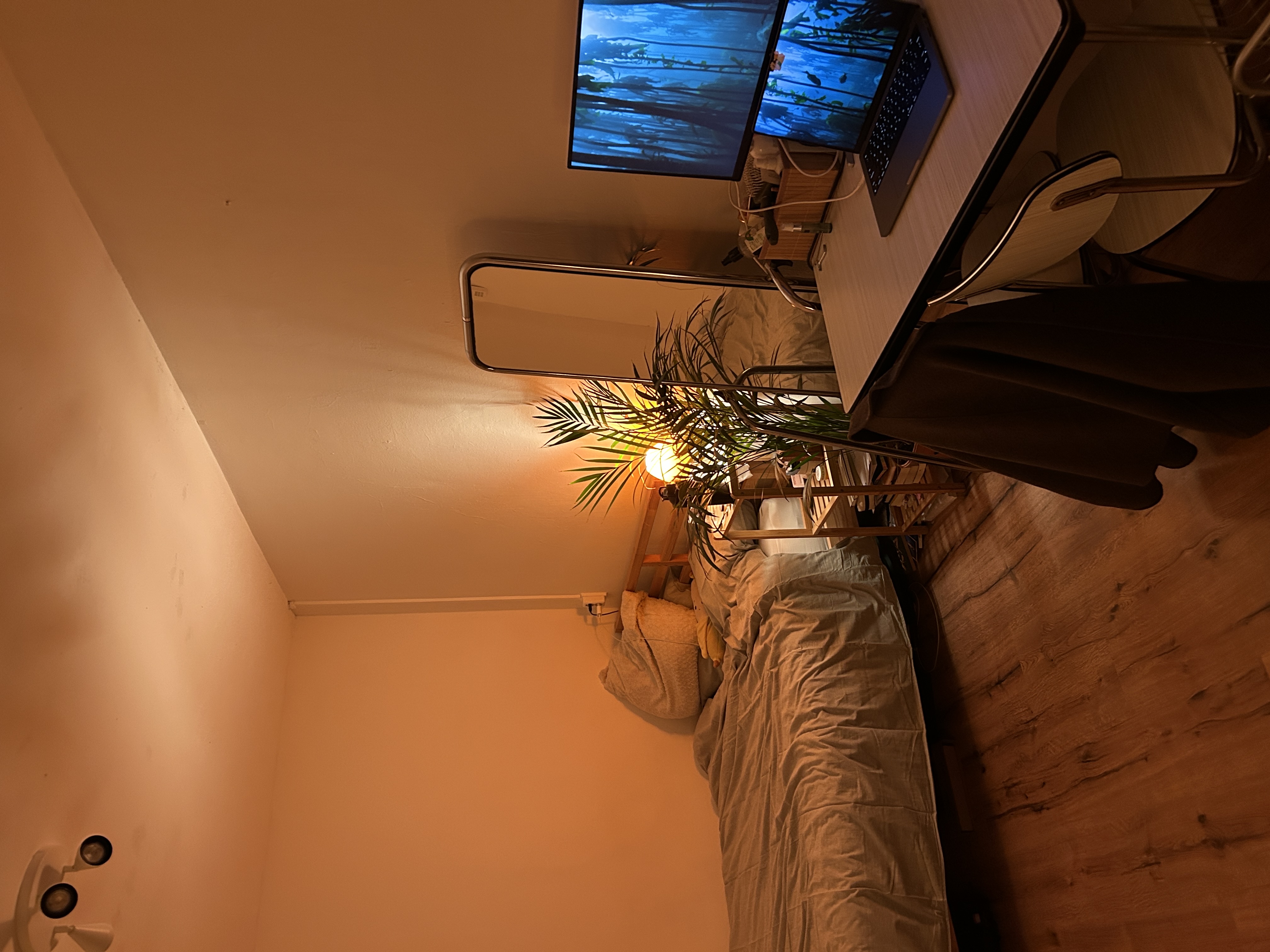 image-13