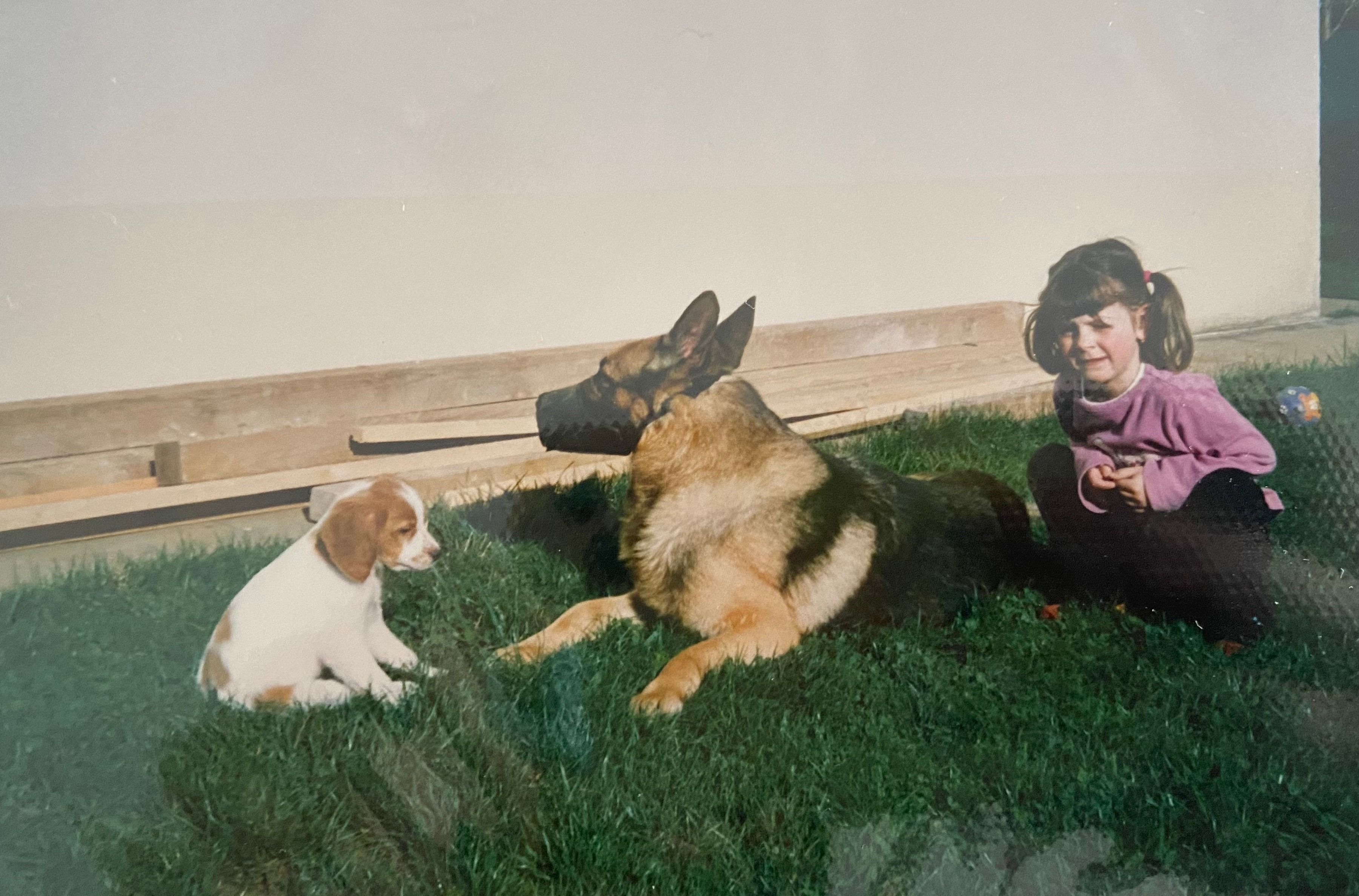 image-9