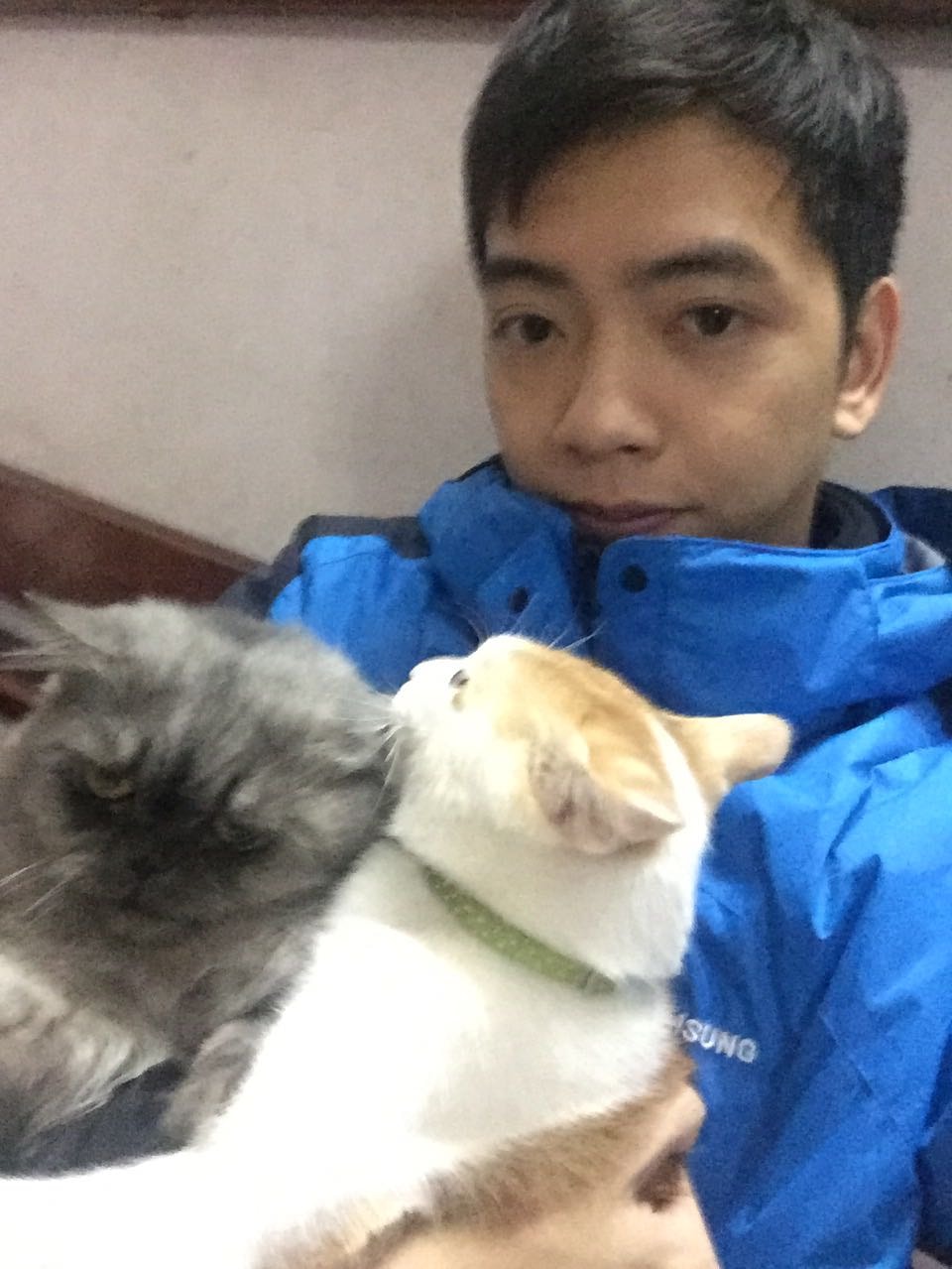 image-5