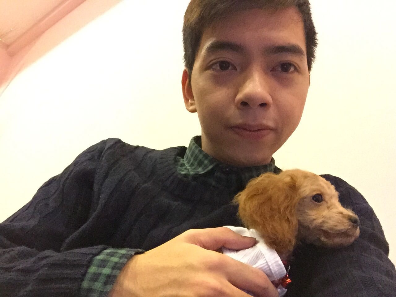 image-2