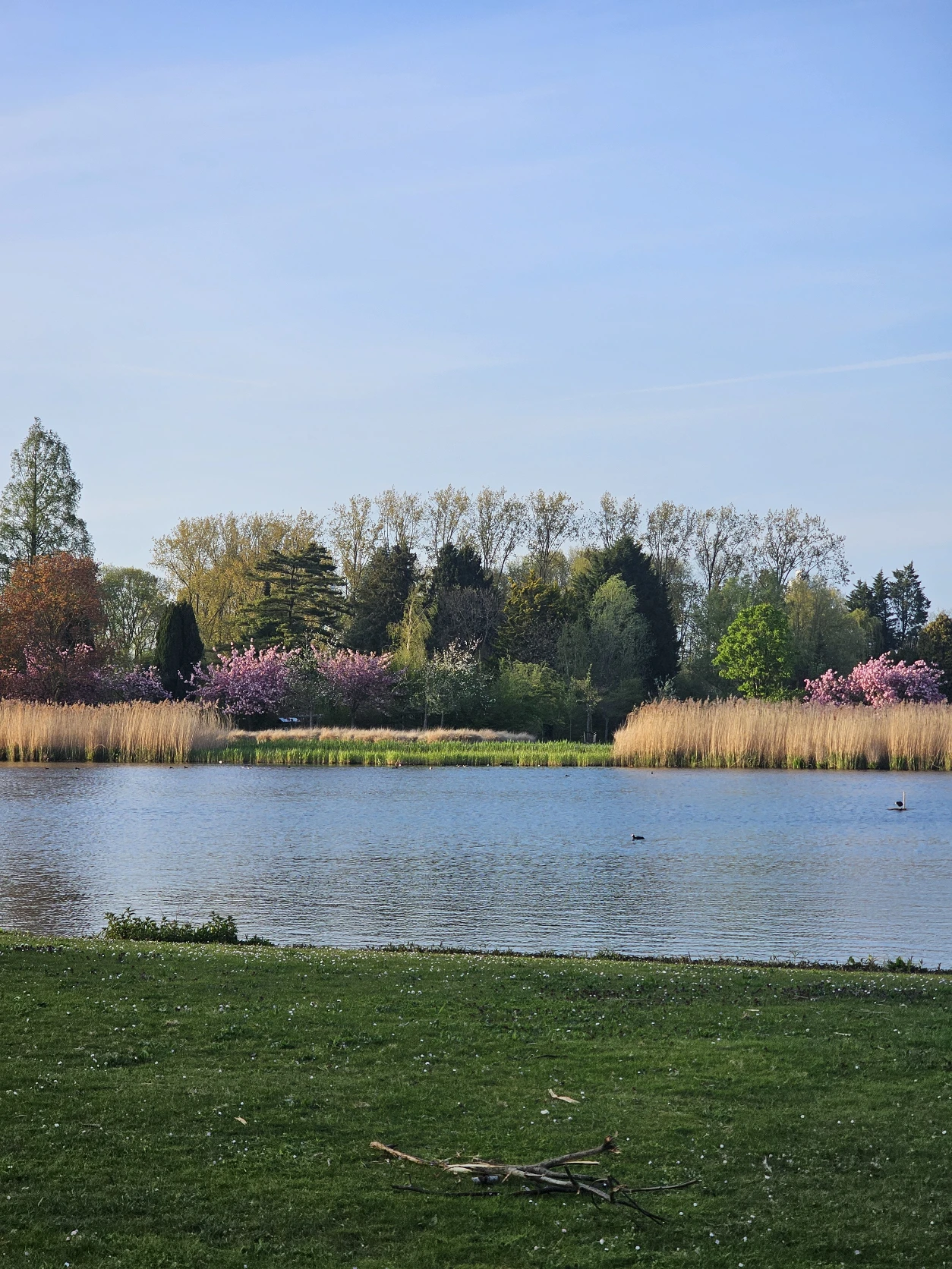 image-26