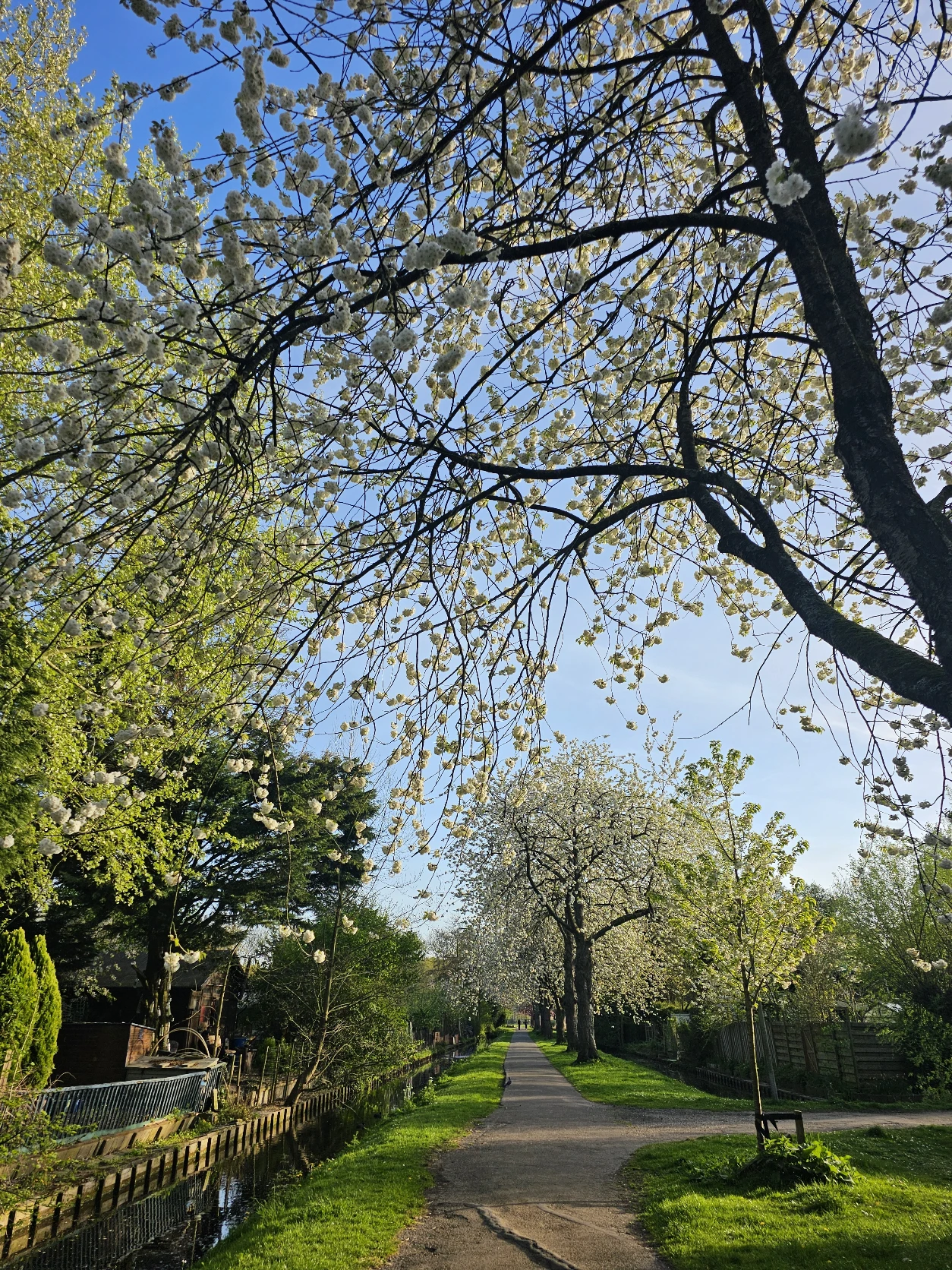 image-28