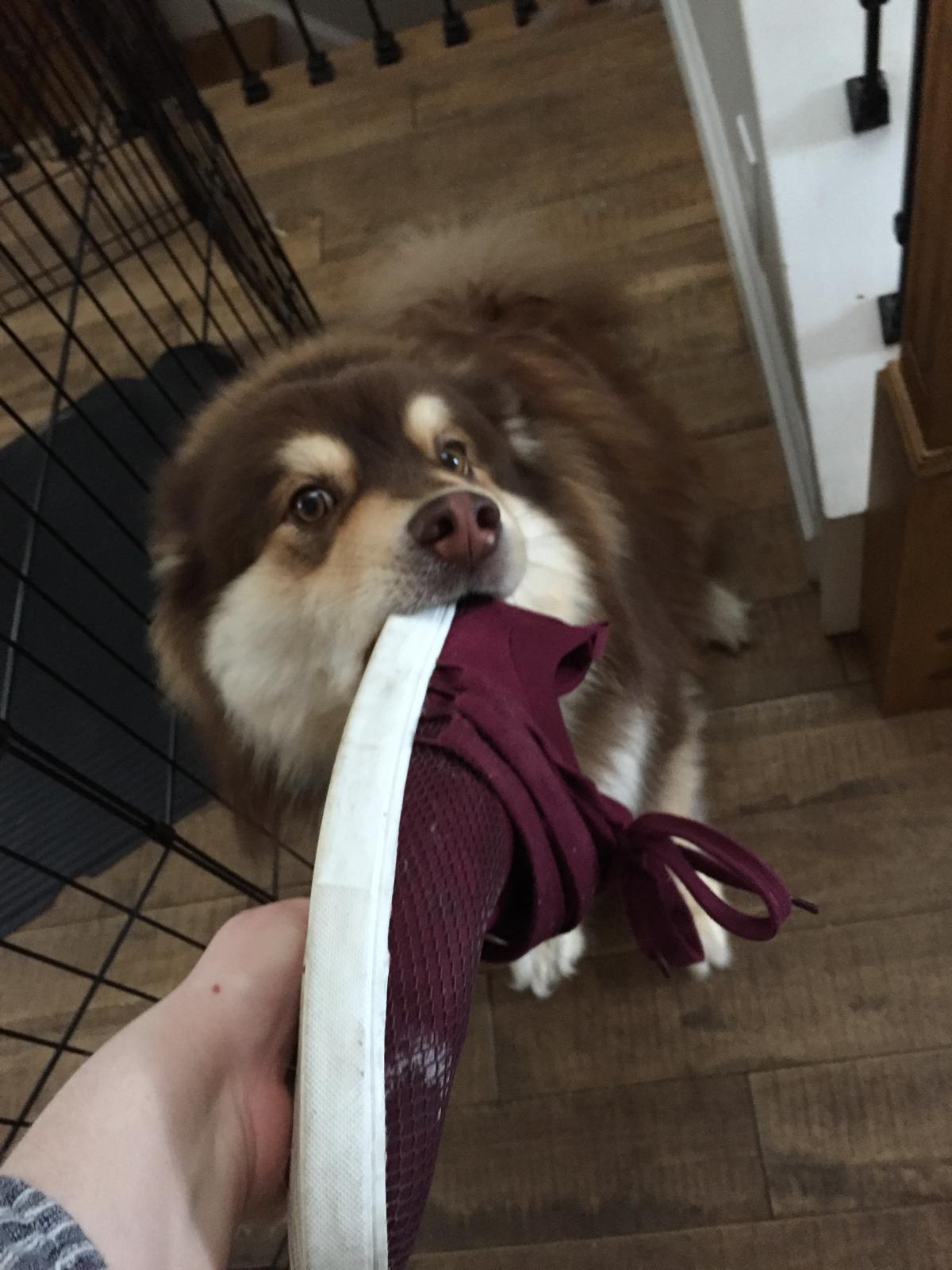 image-9