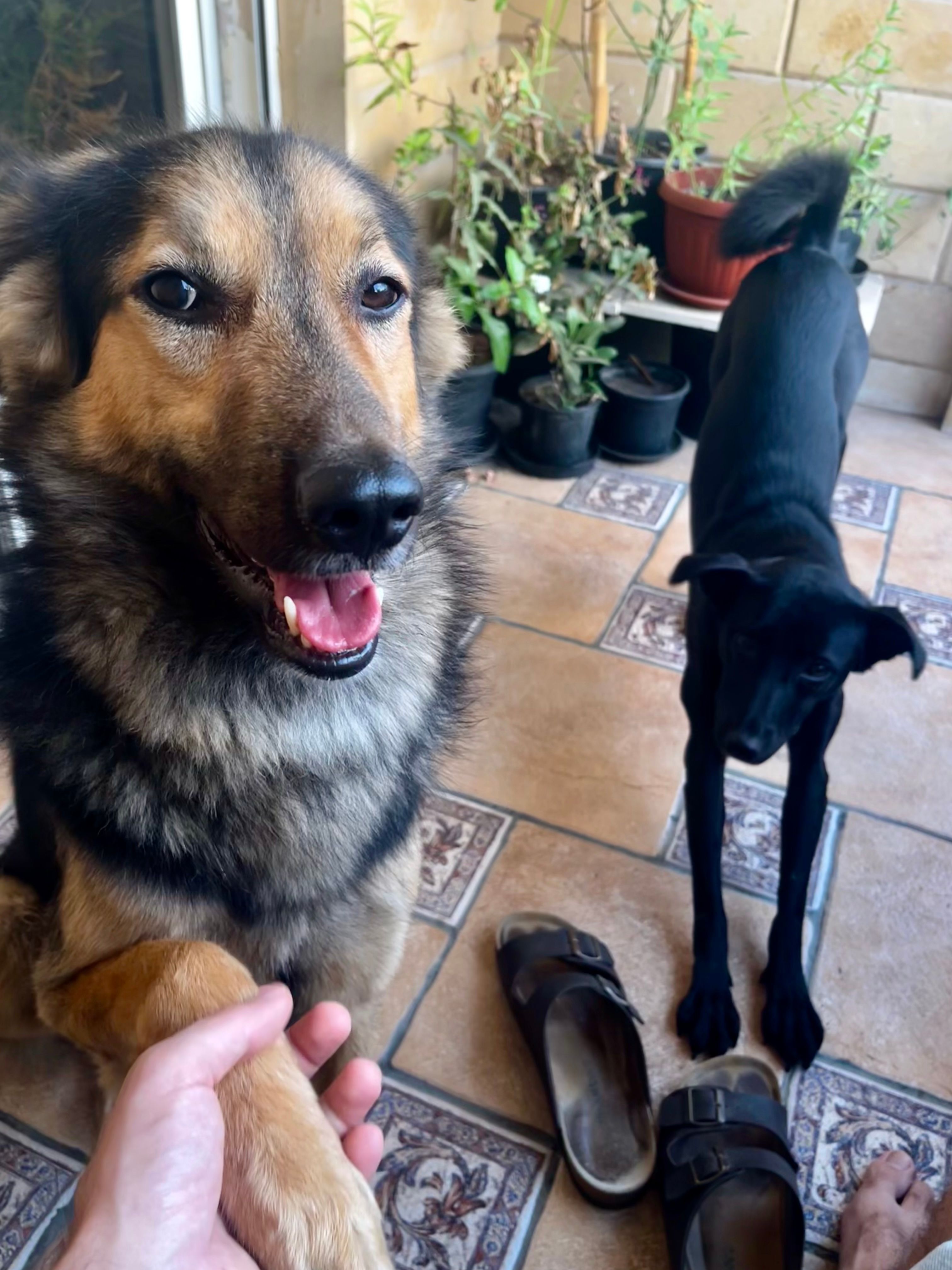 image-1