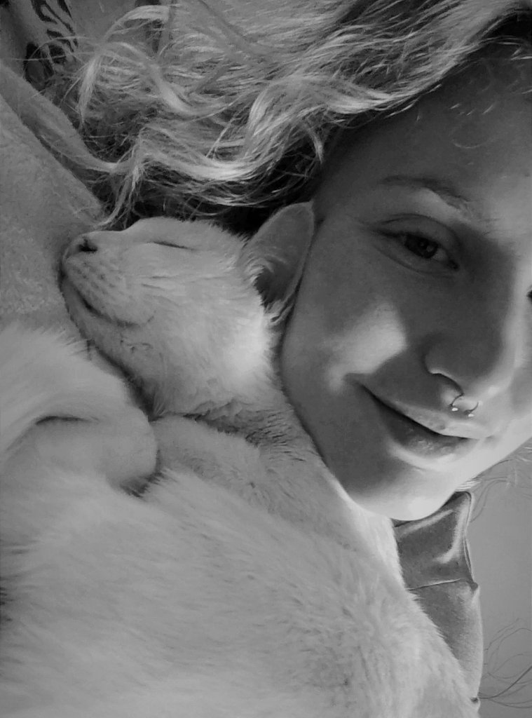 image-5