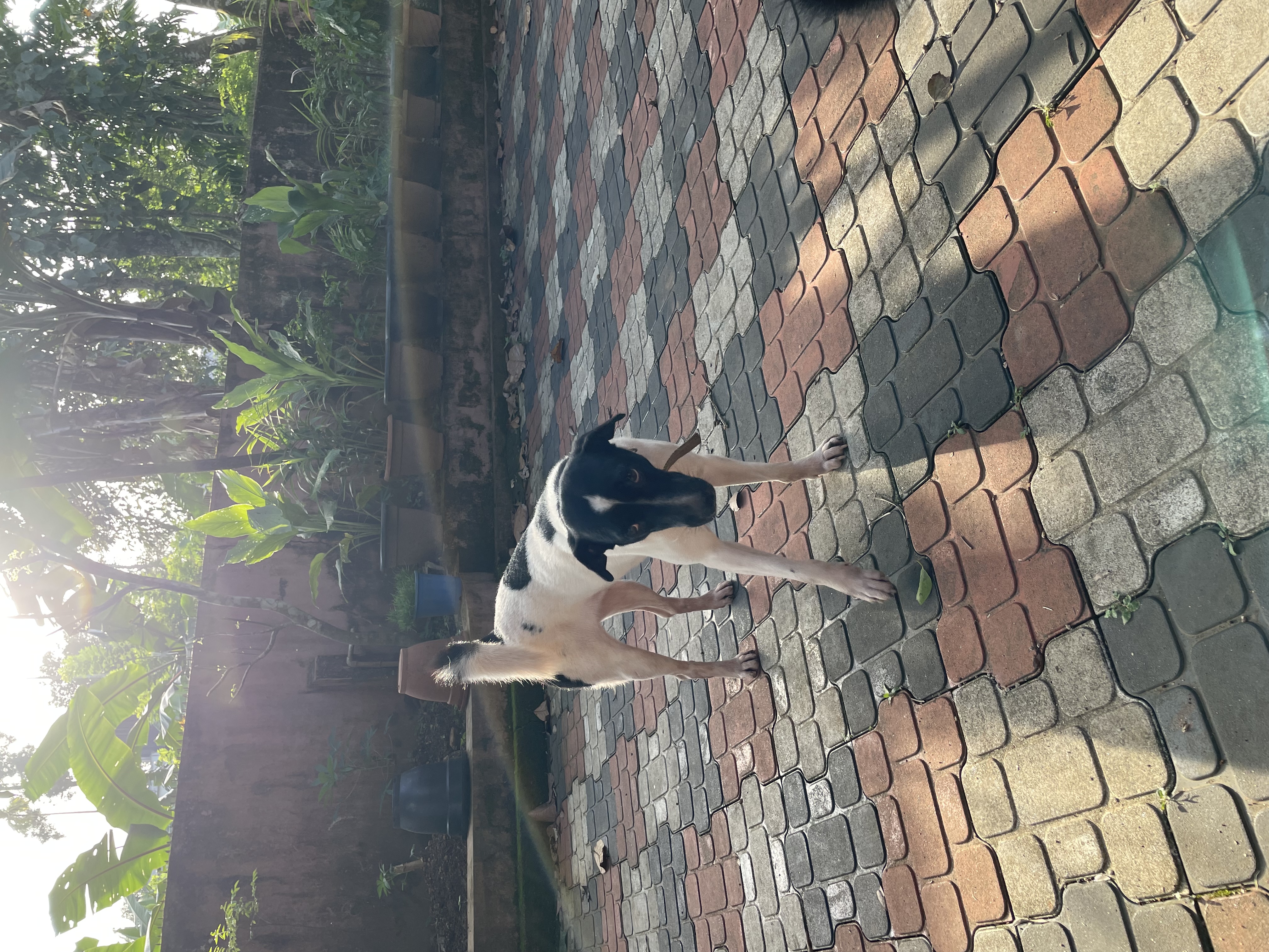 image-9