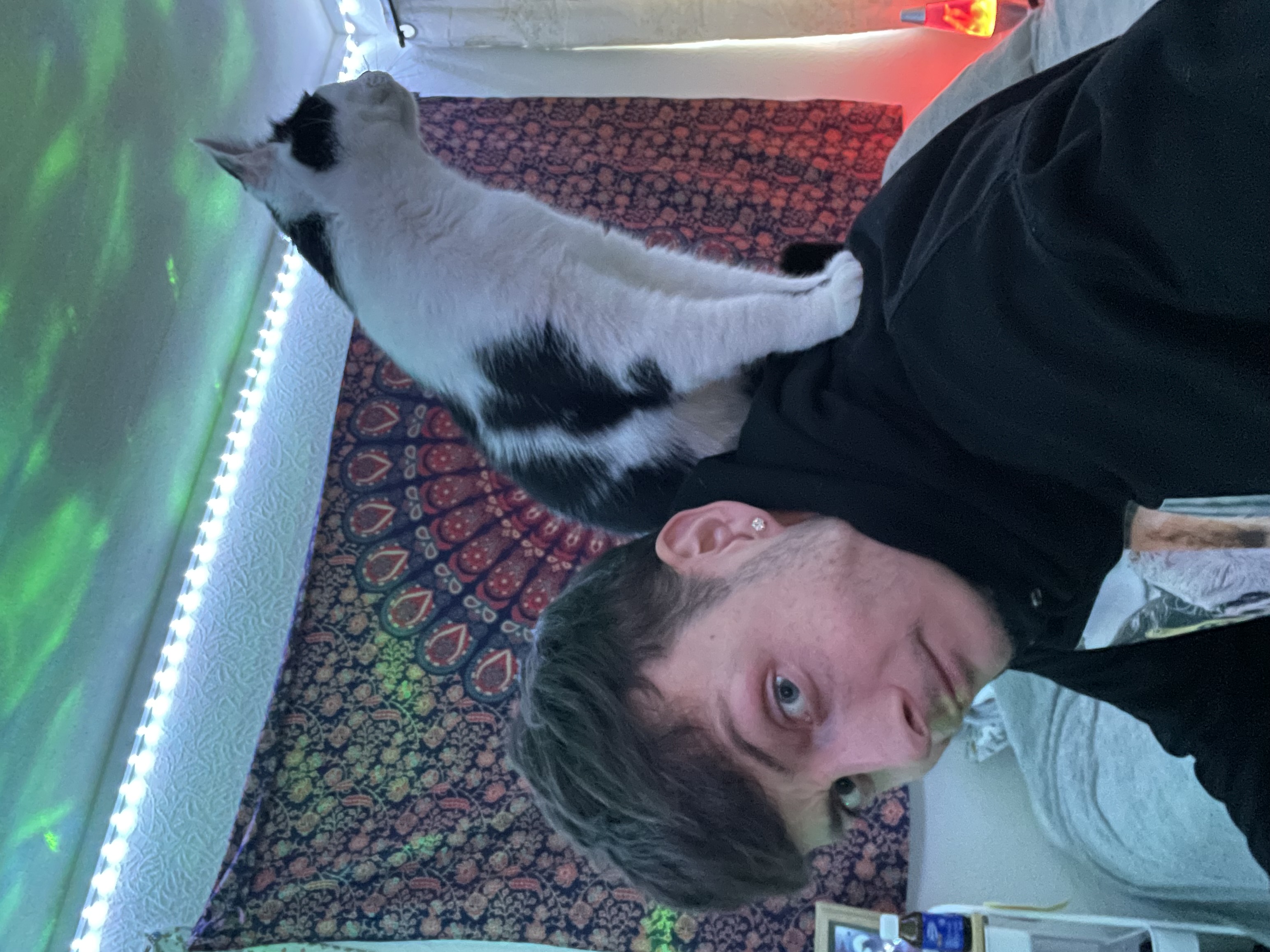 image-3