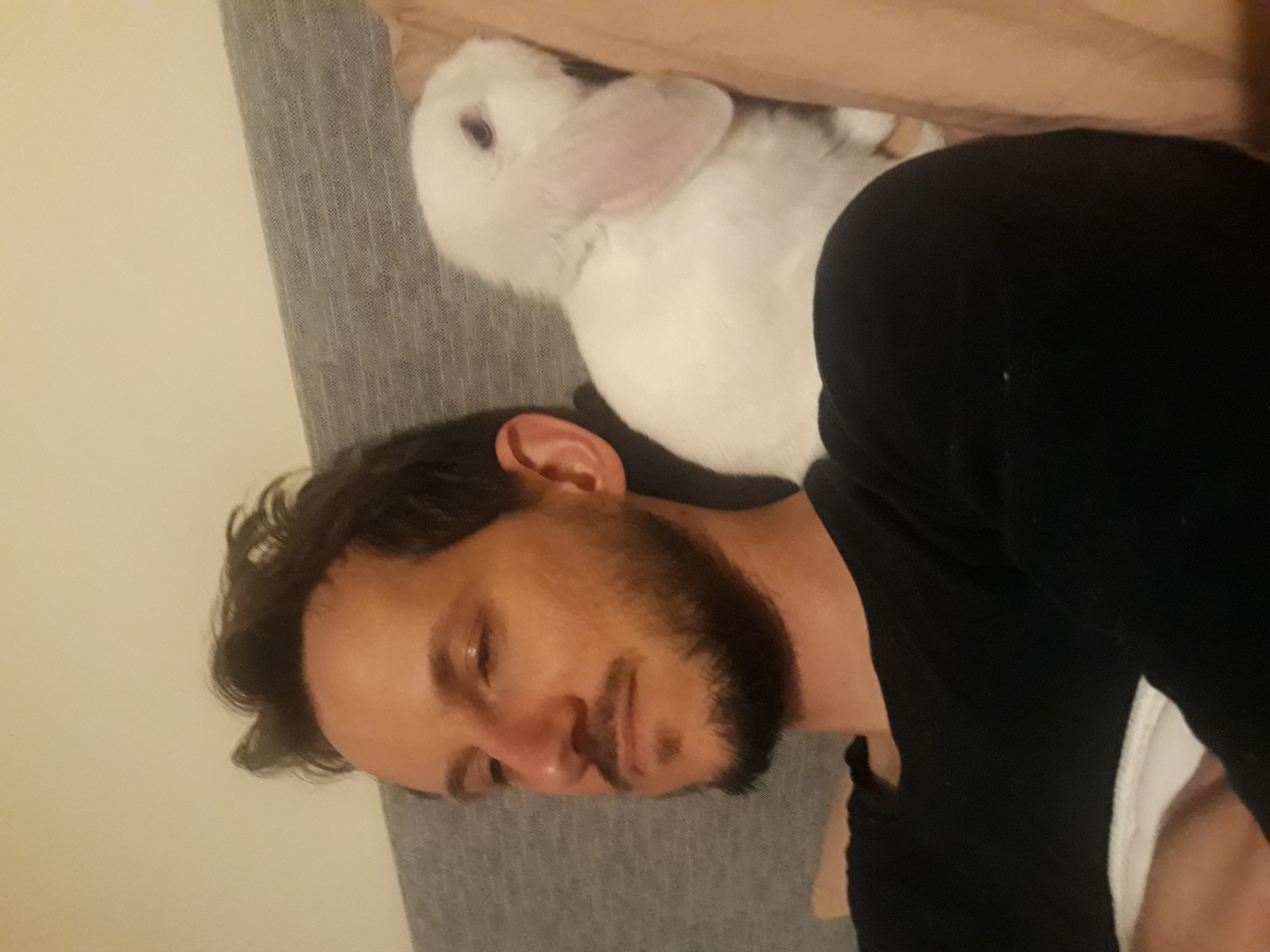 image-6