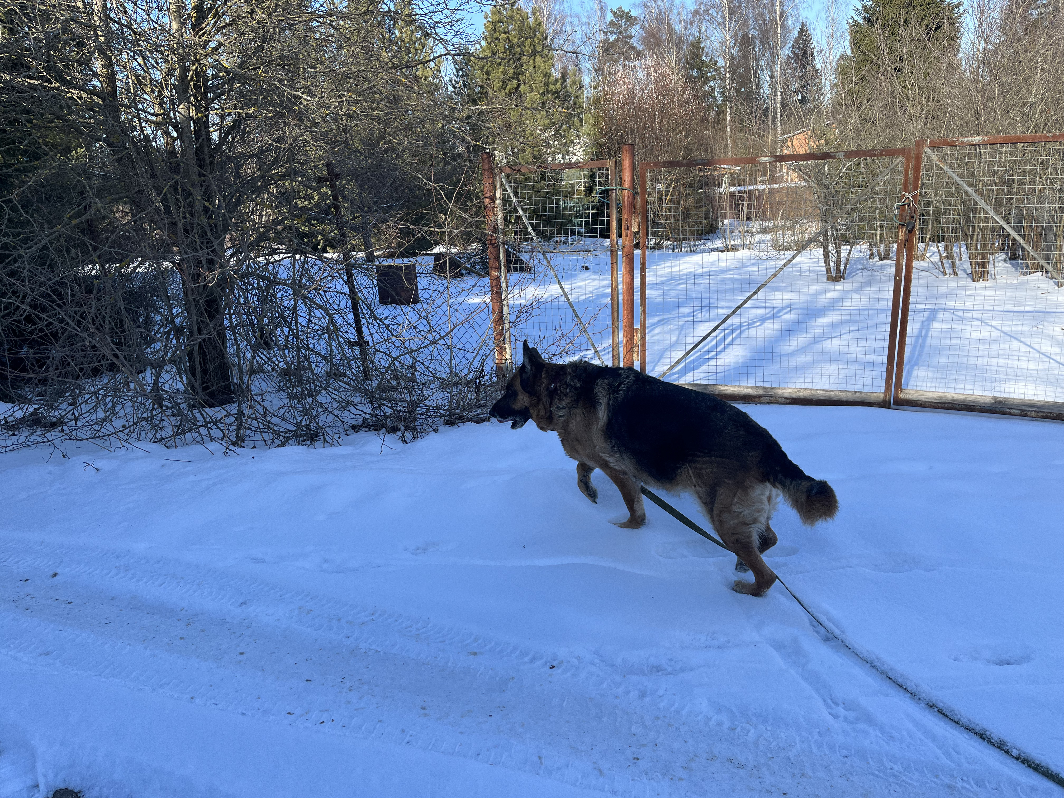 image-10