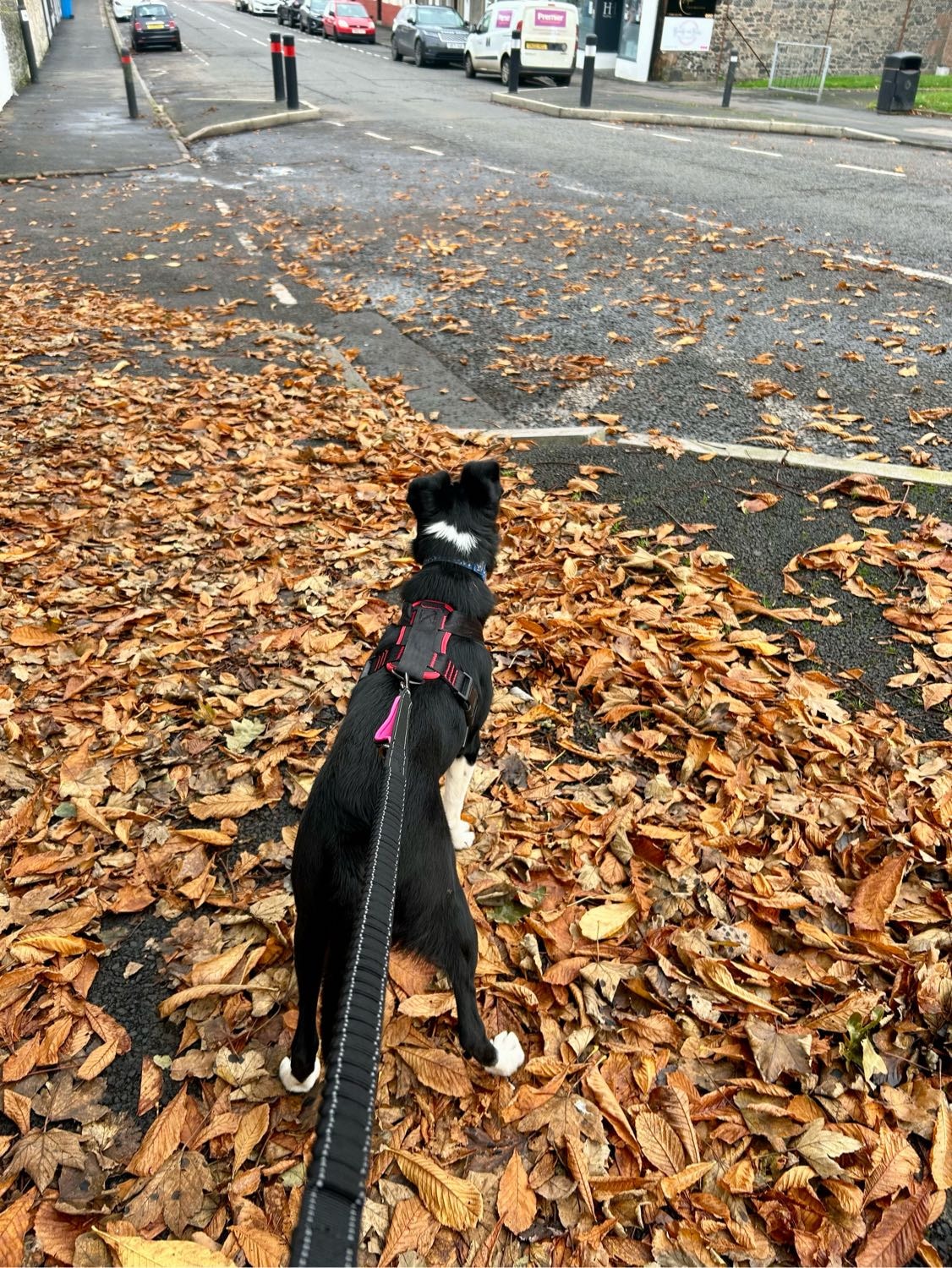 image-16