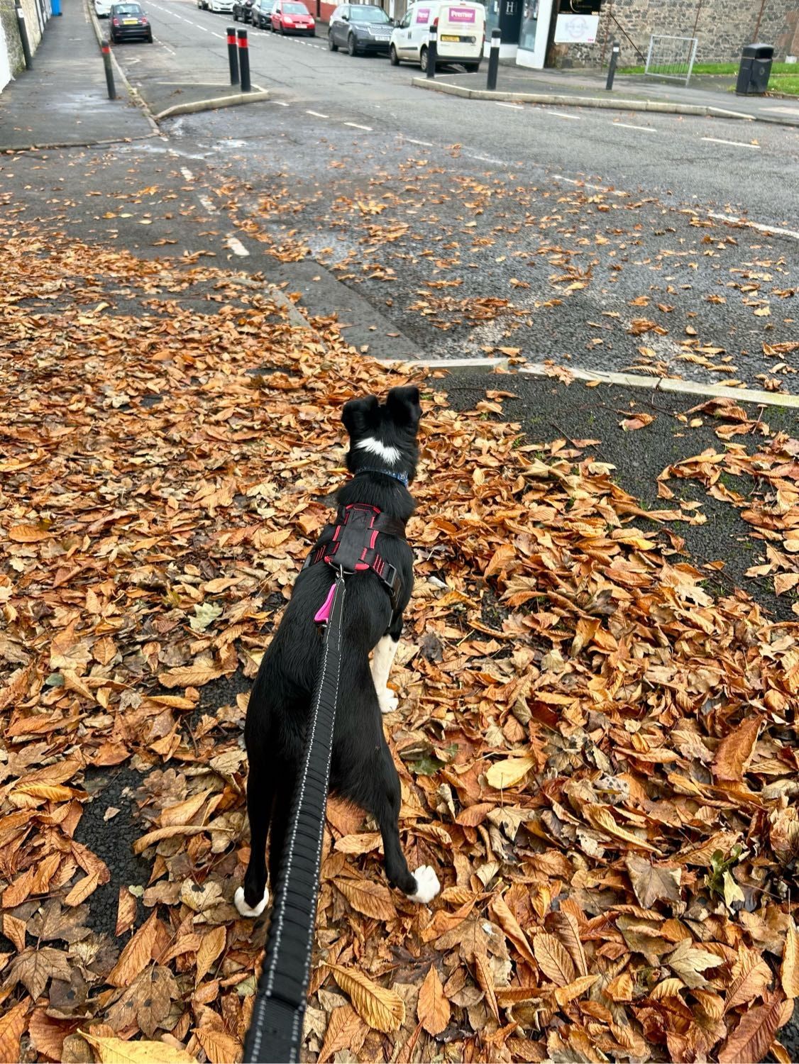 image-16
