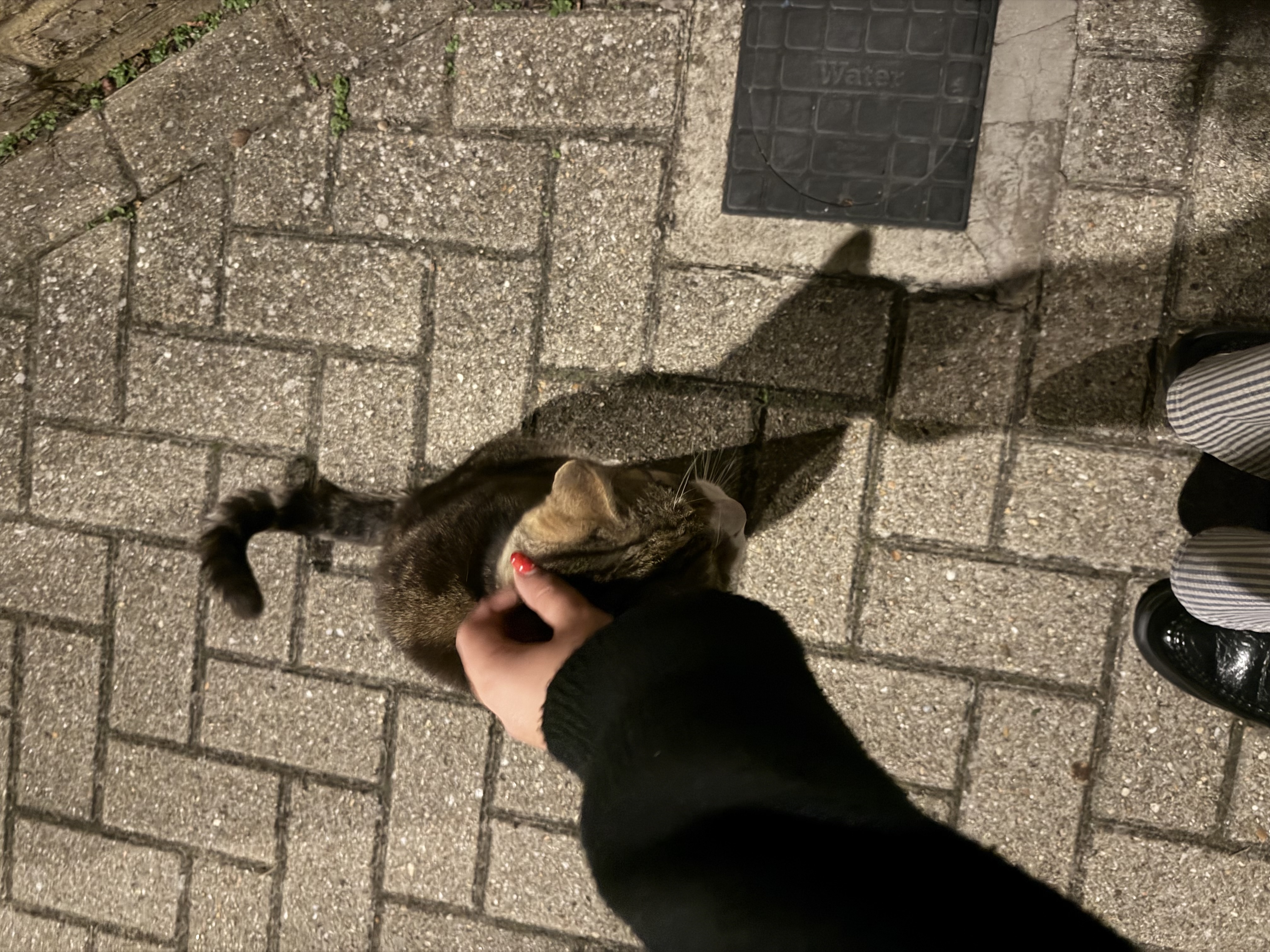 image-10