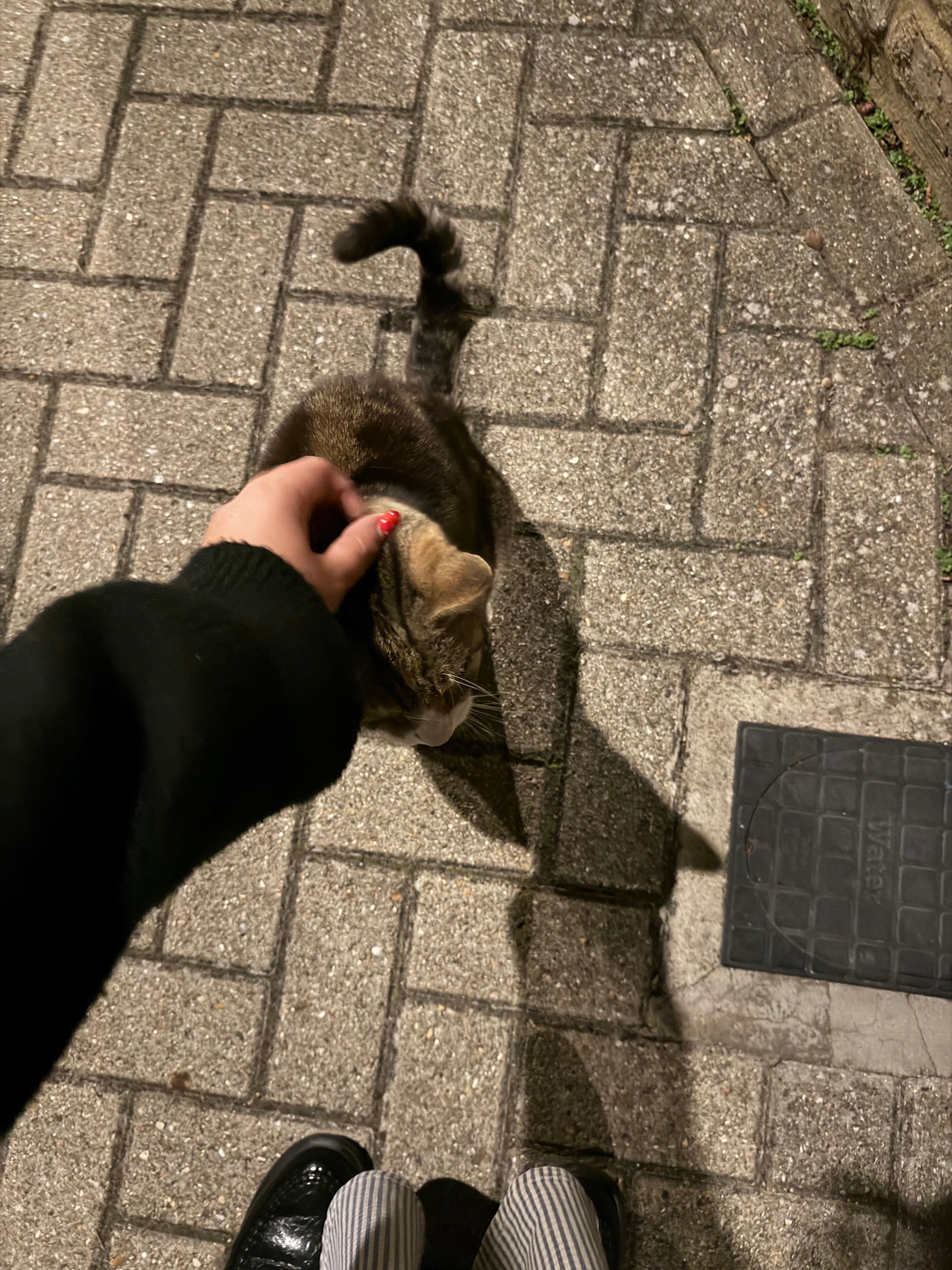 image-10