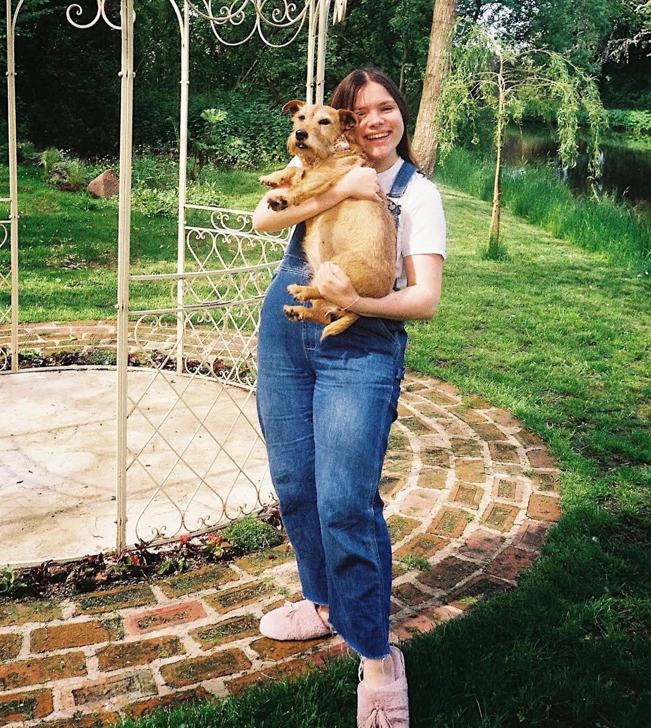 image-5