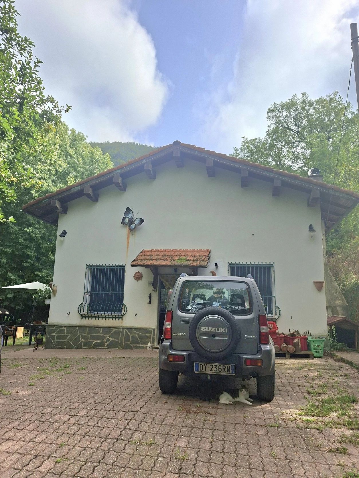 image-19