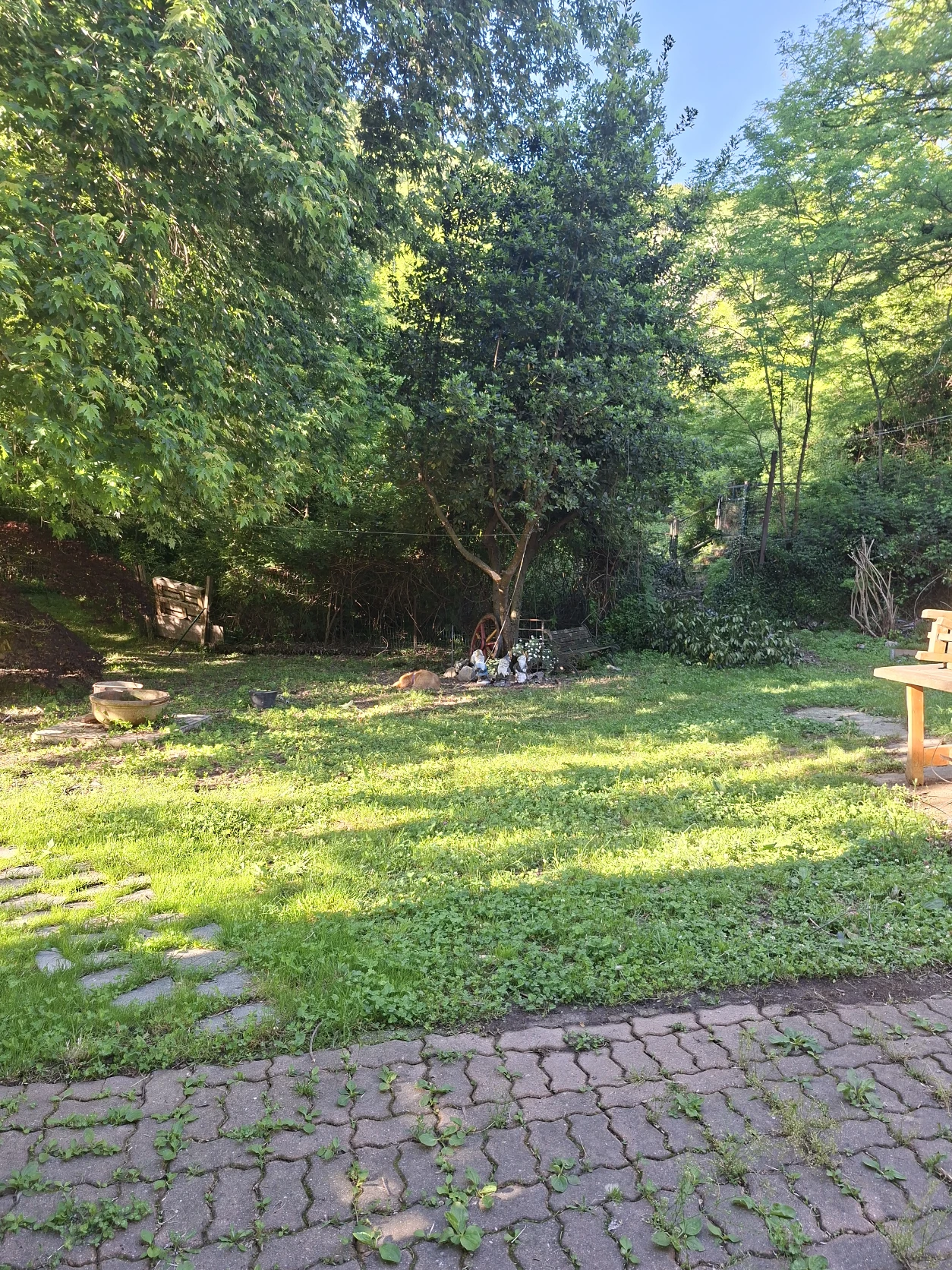 image-16