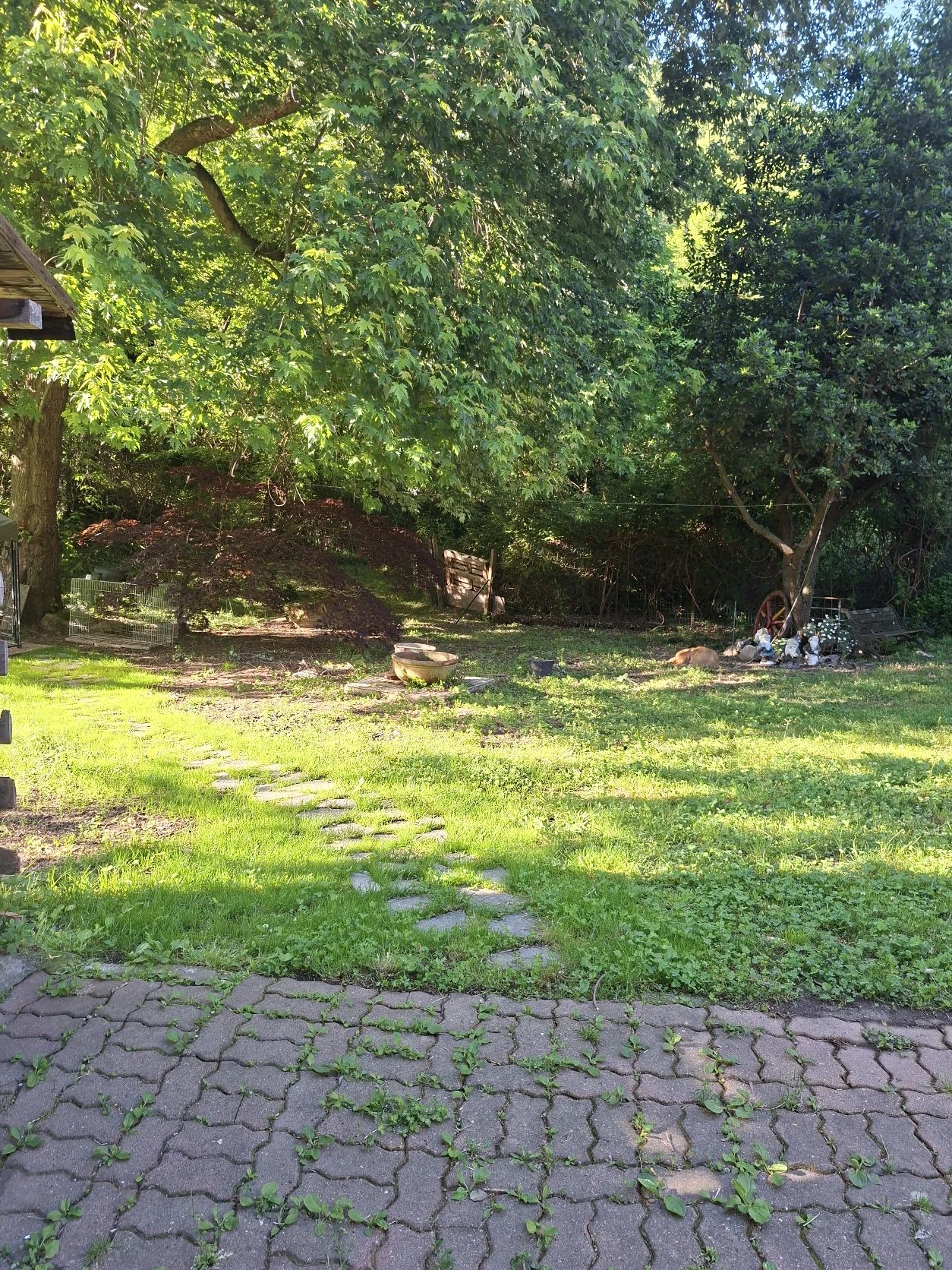 image-17