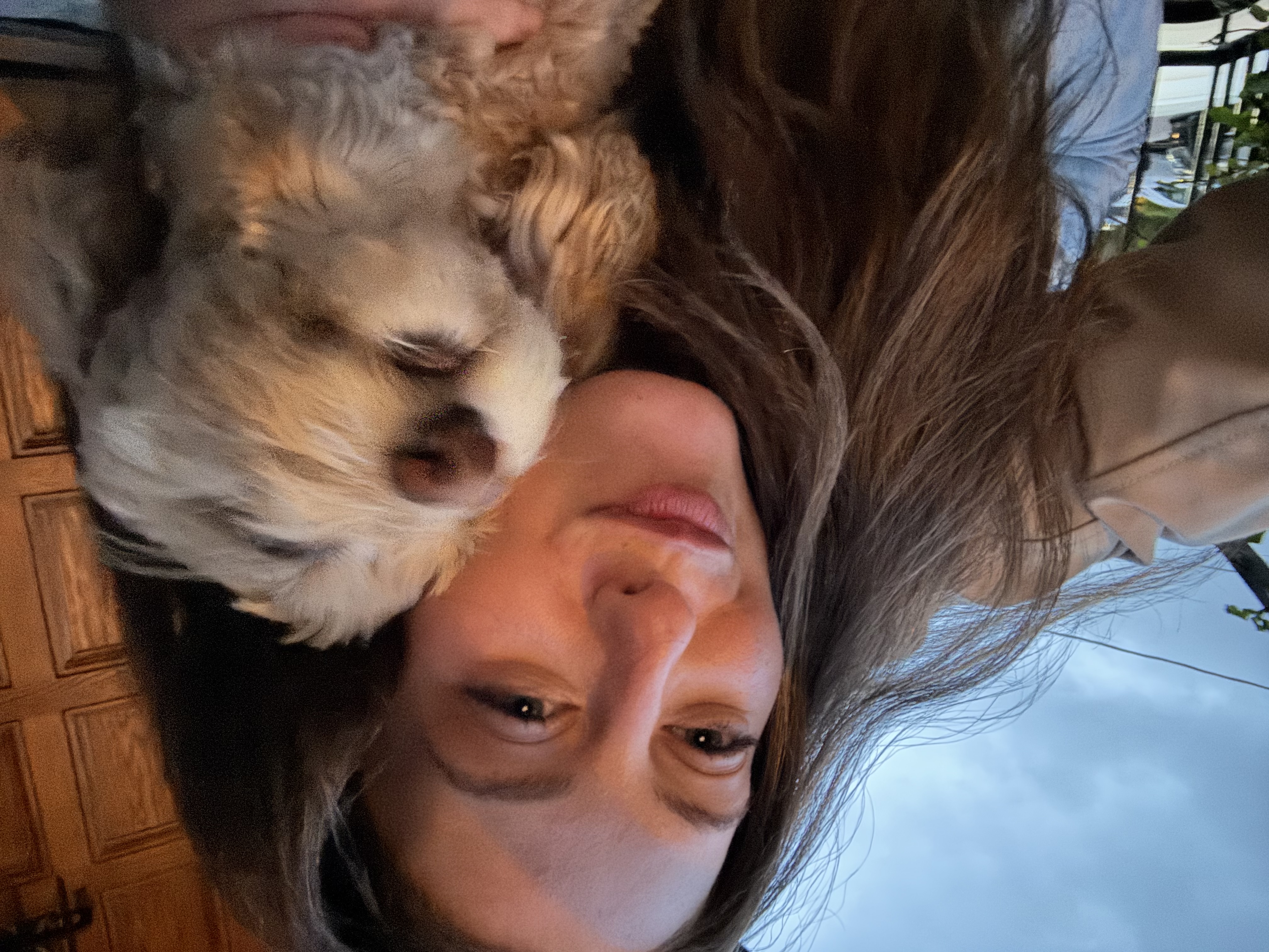 image-2