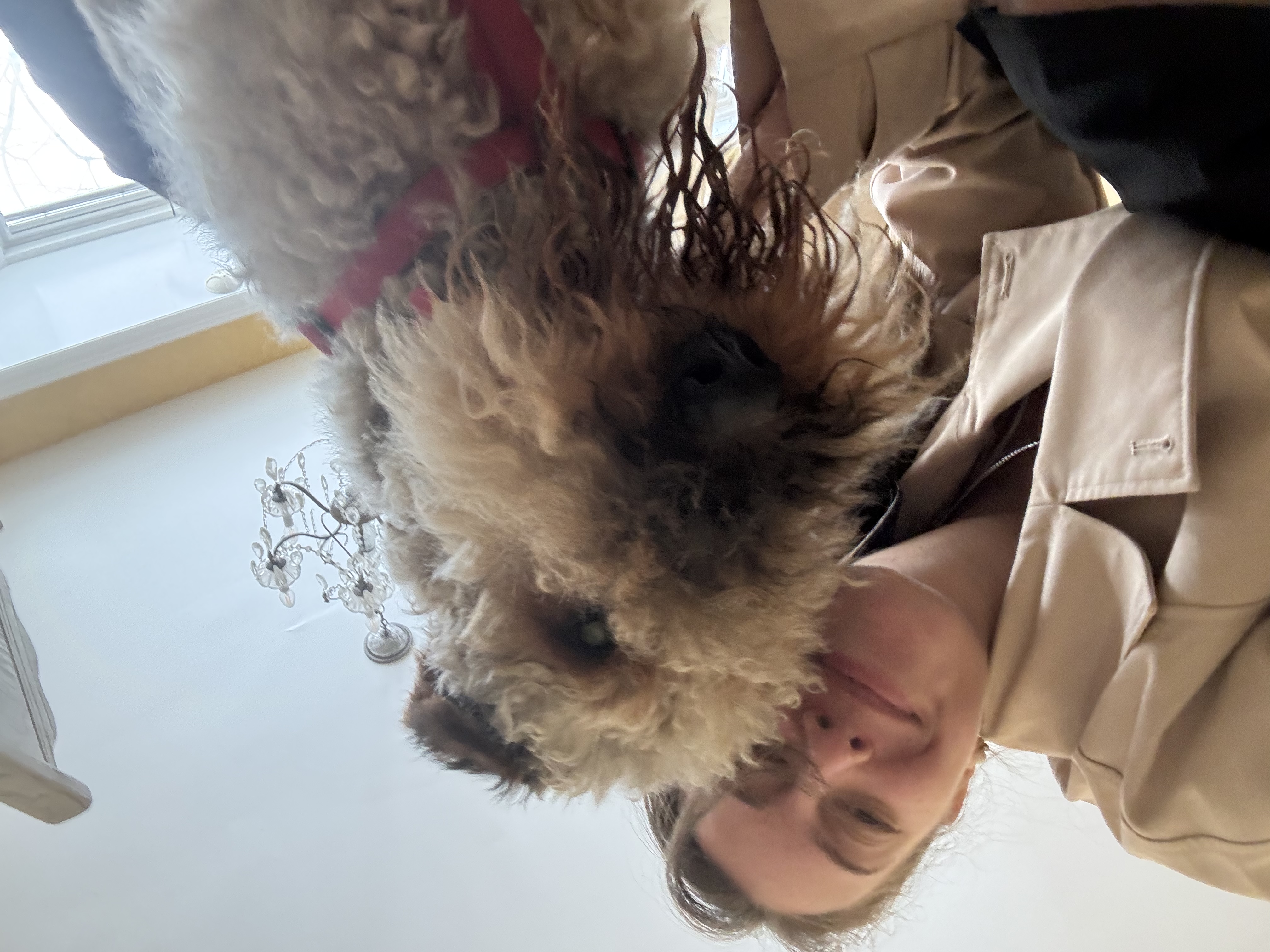 image-4