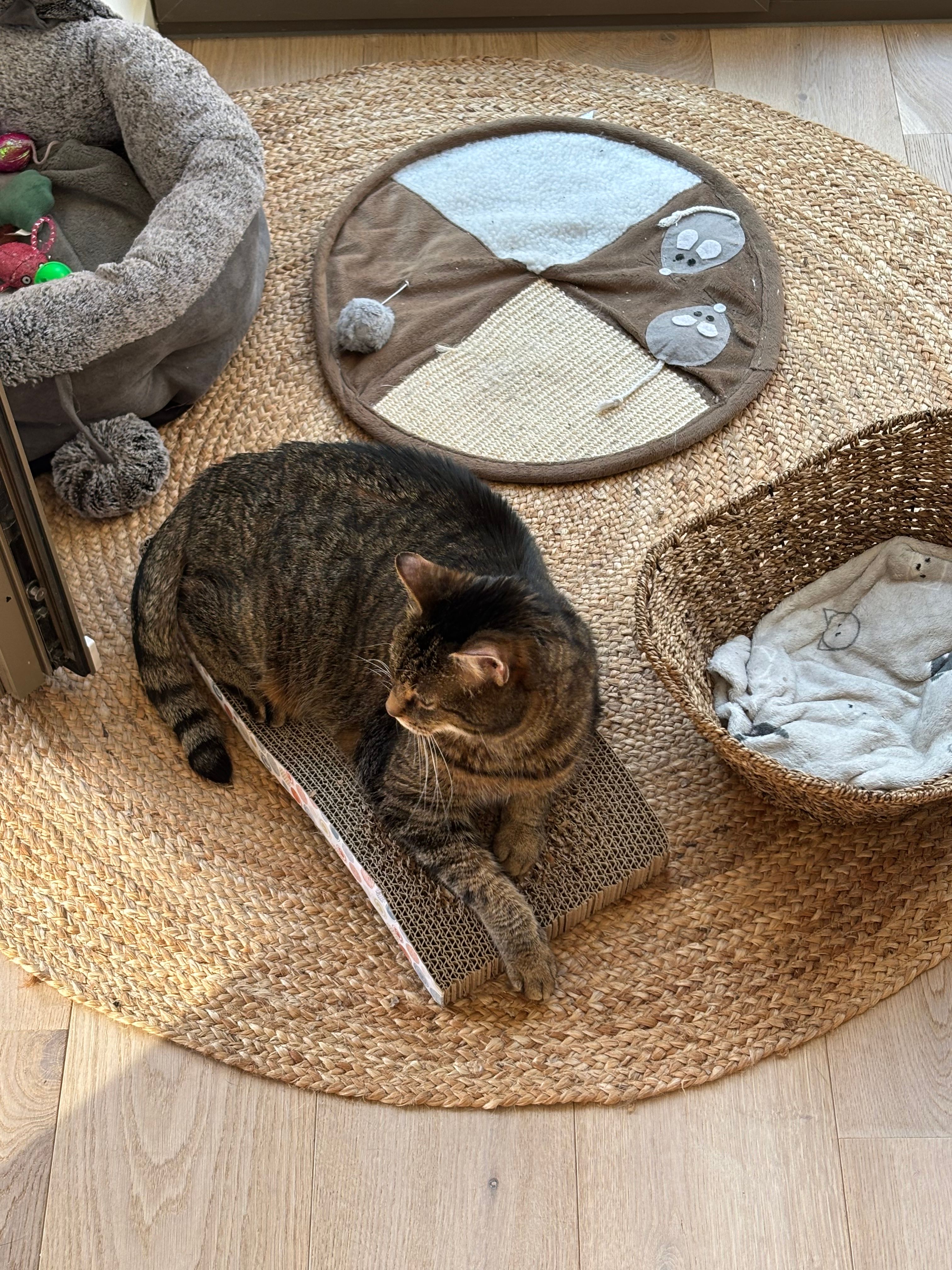 image-12