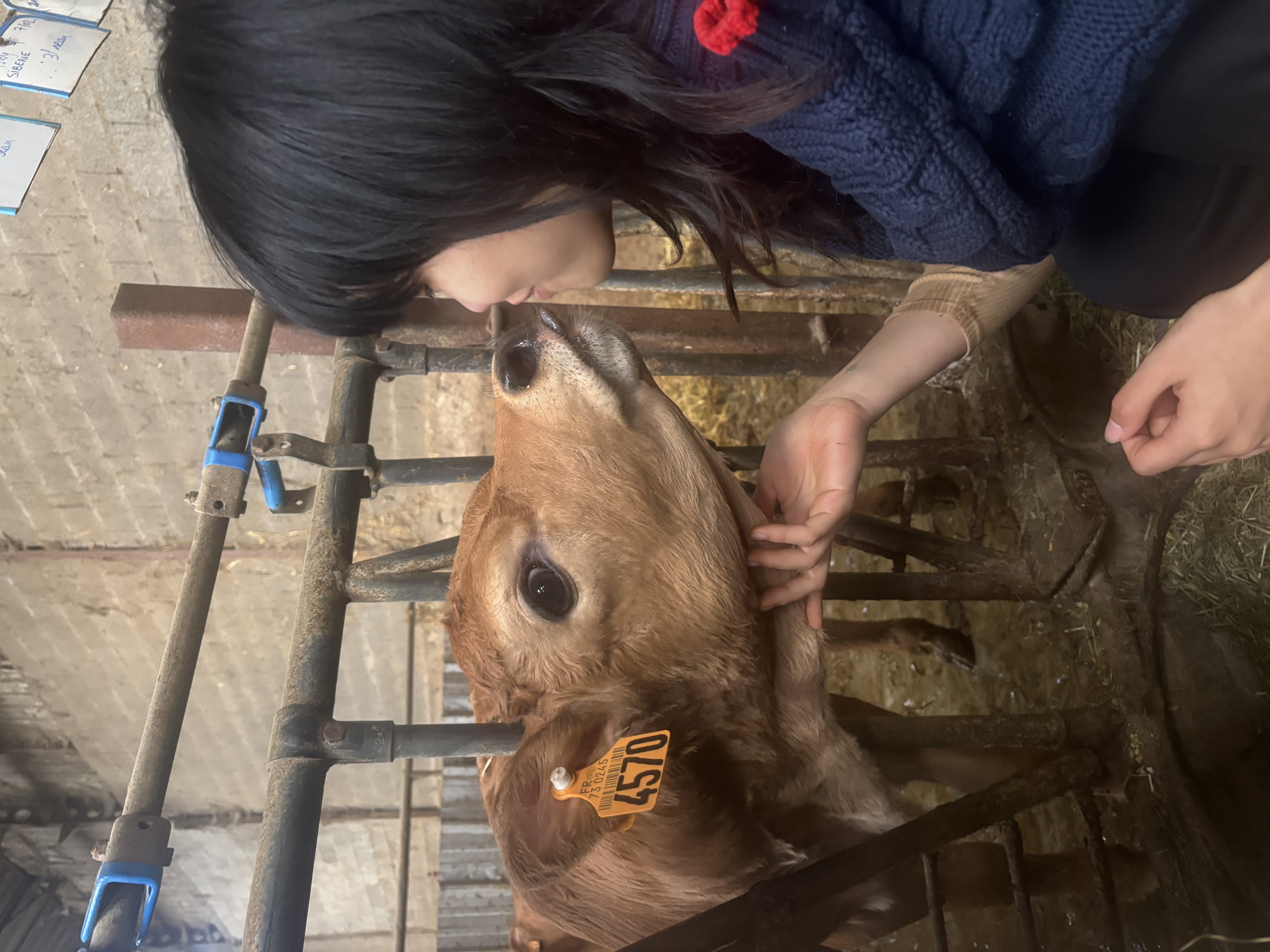 image-5