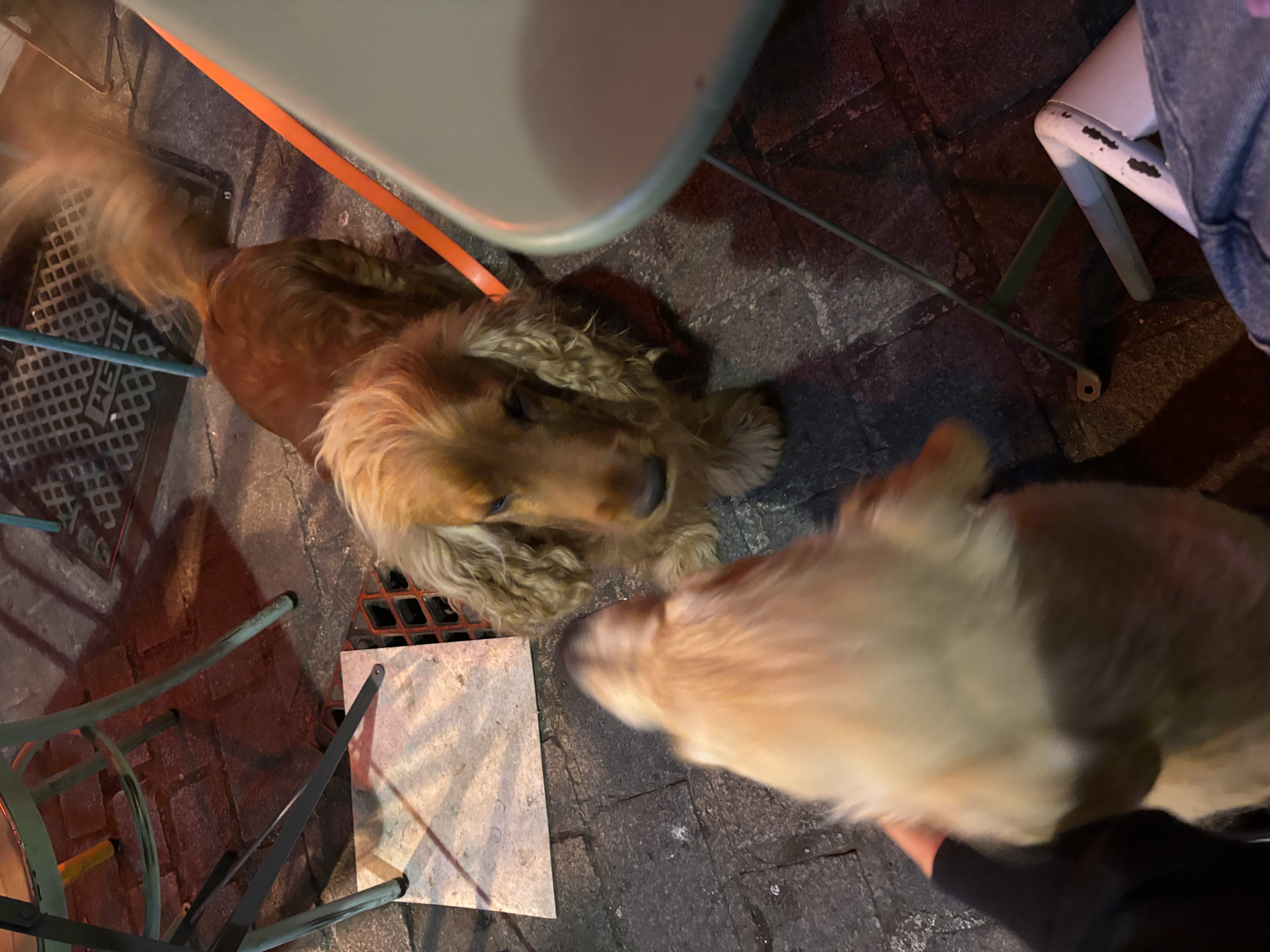 image-8