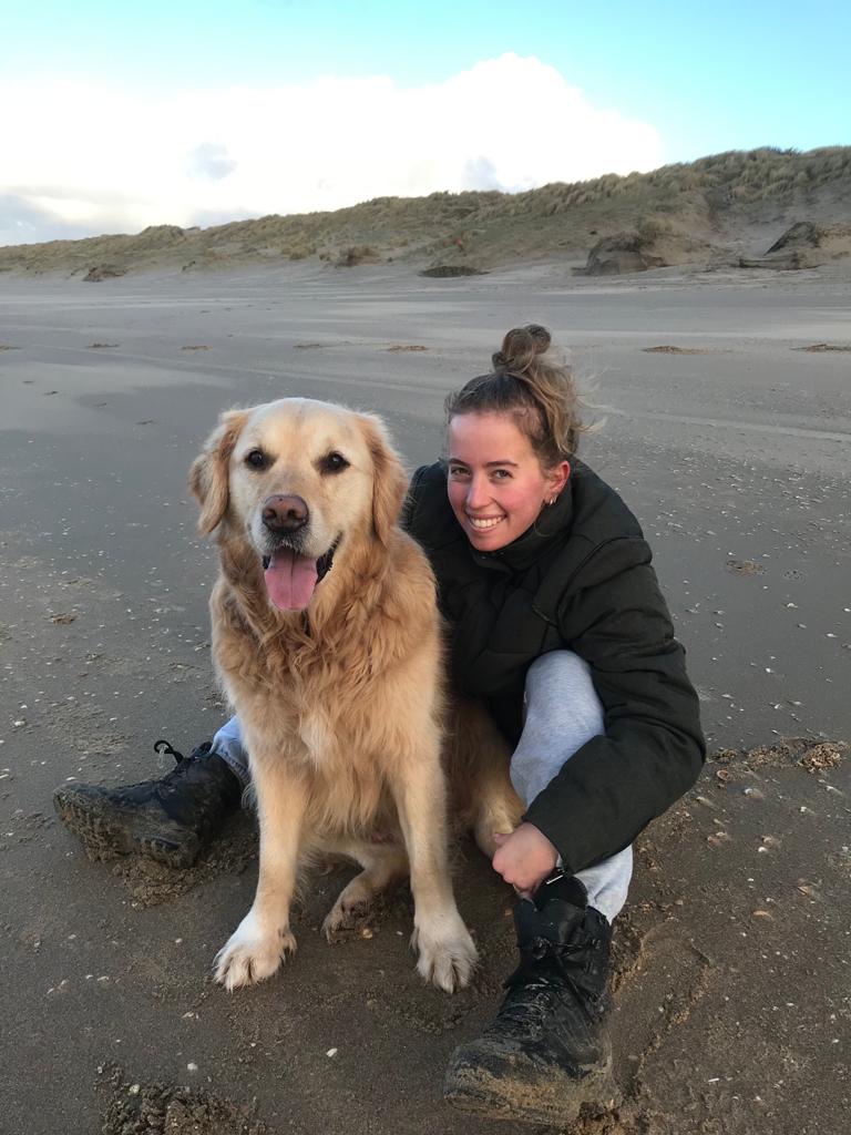 image-2