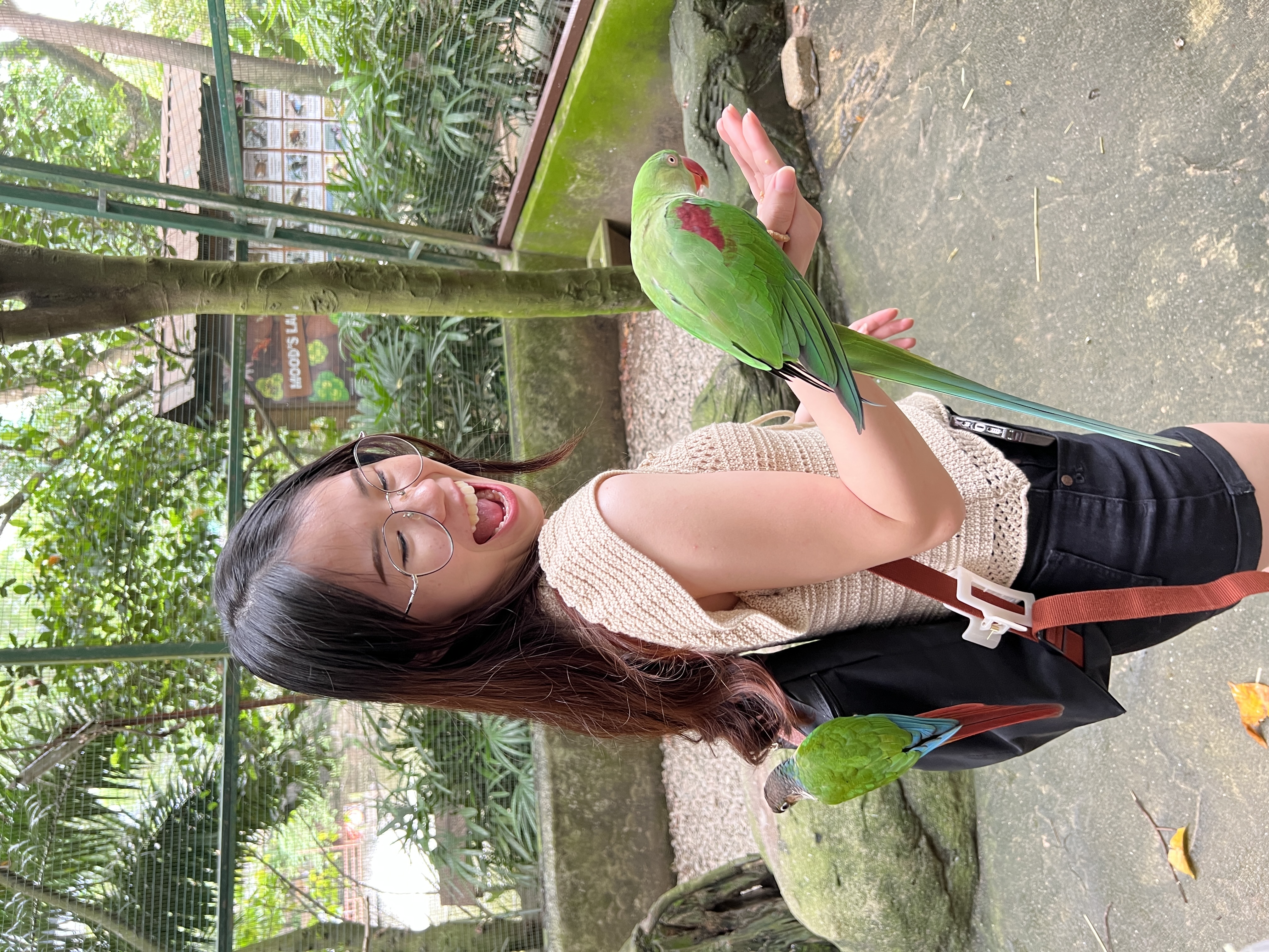 image-6