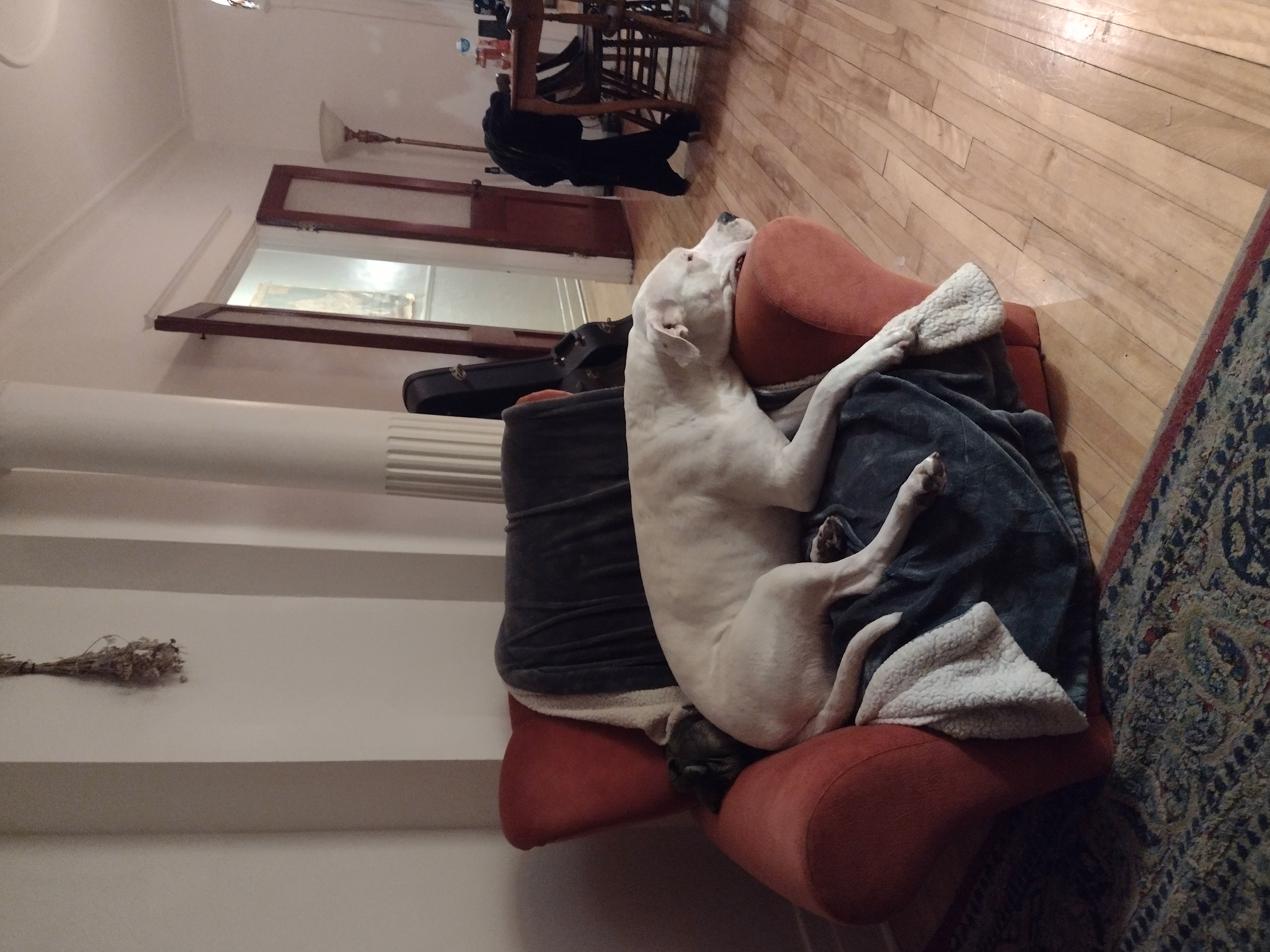 image-17