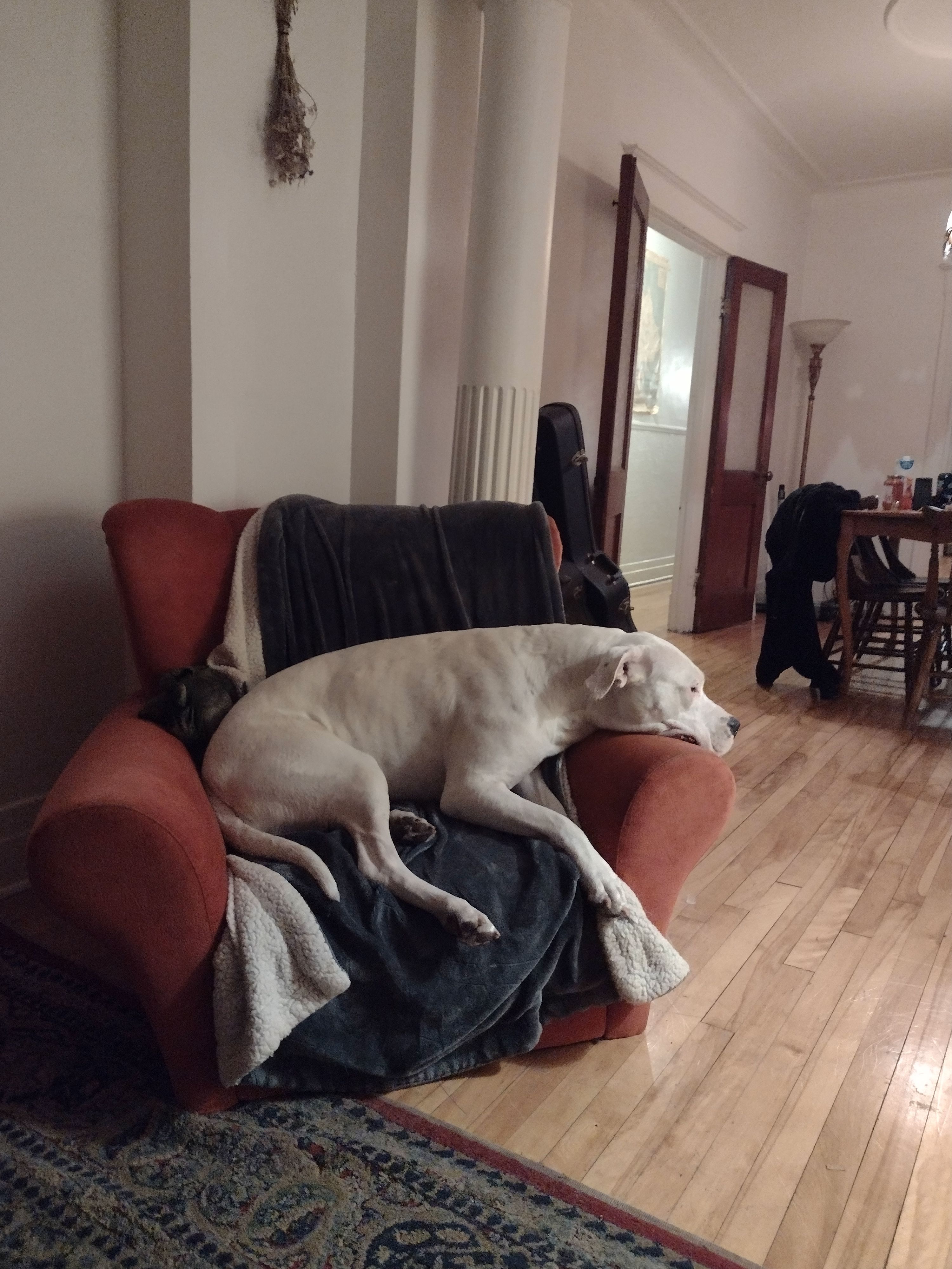 image-17