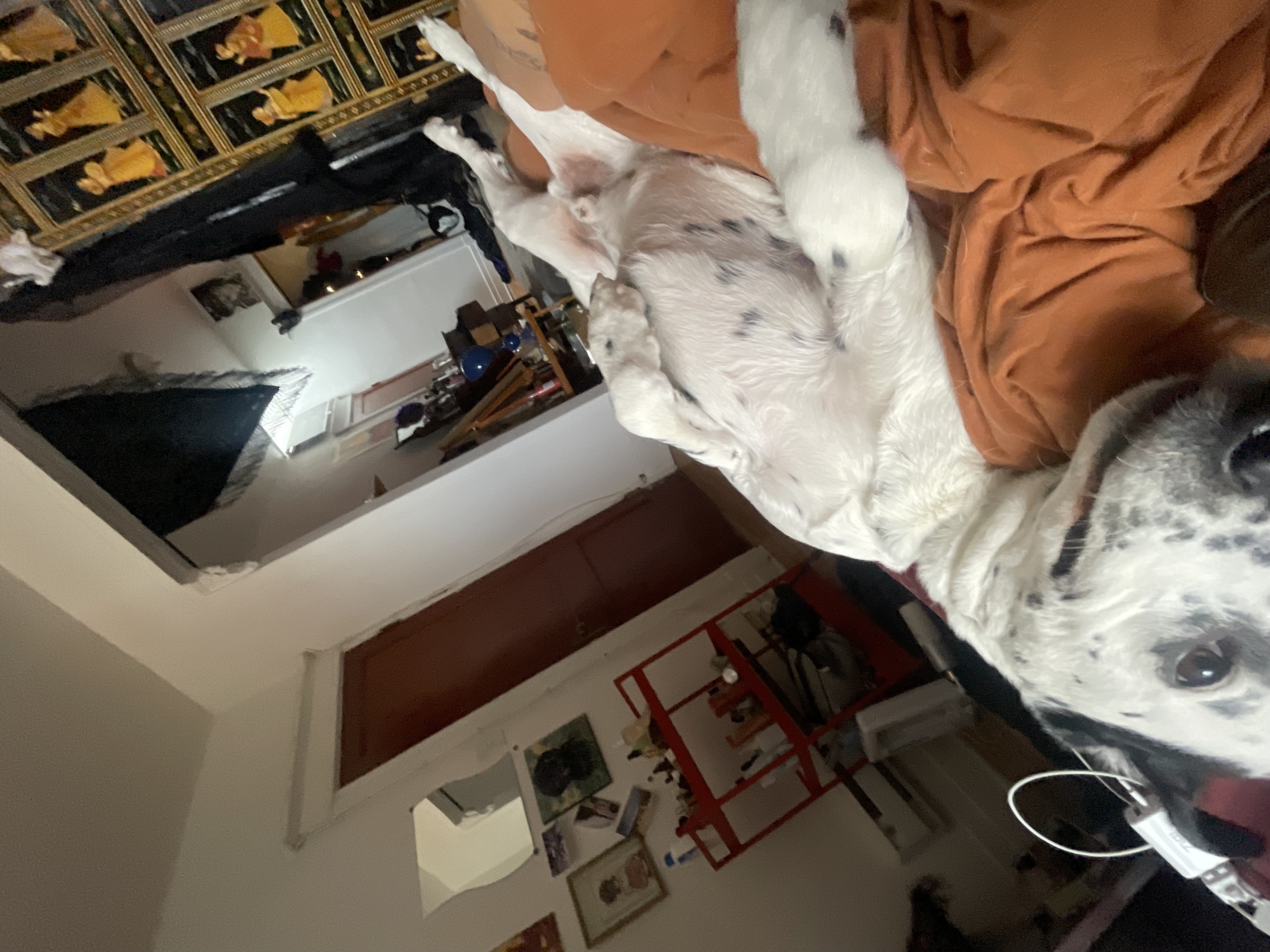 image-16
