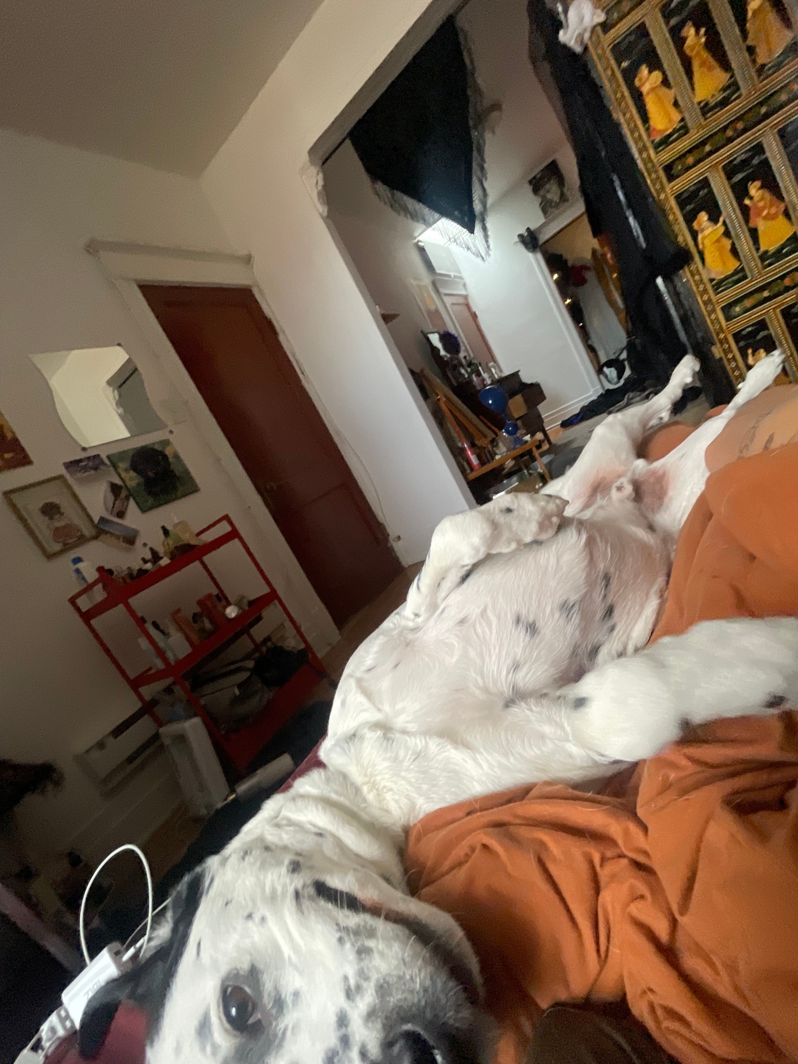 image-16